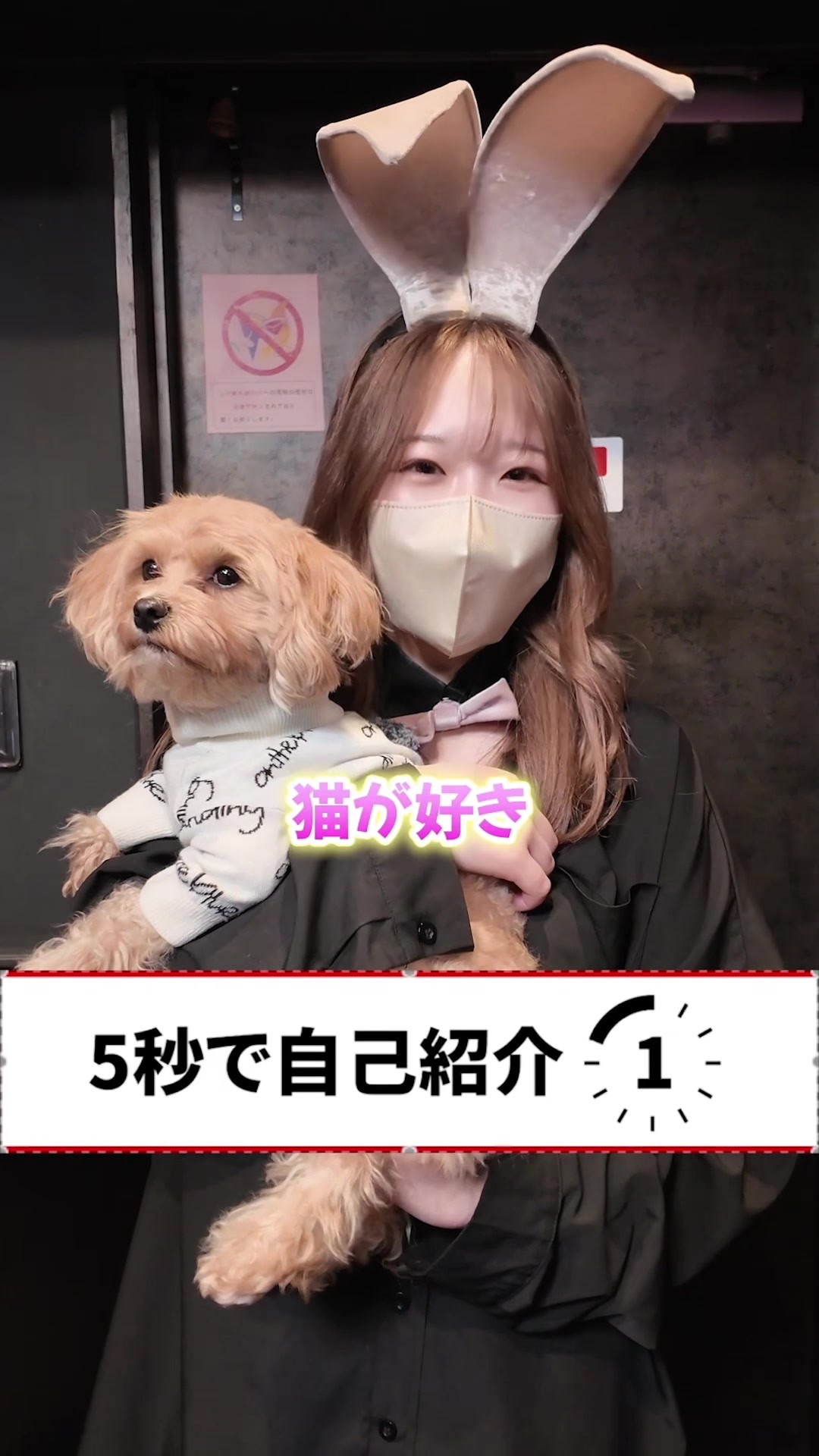 GIRLS BAR MILLIONAIRE ホットニュース 219697