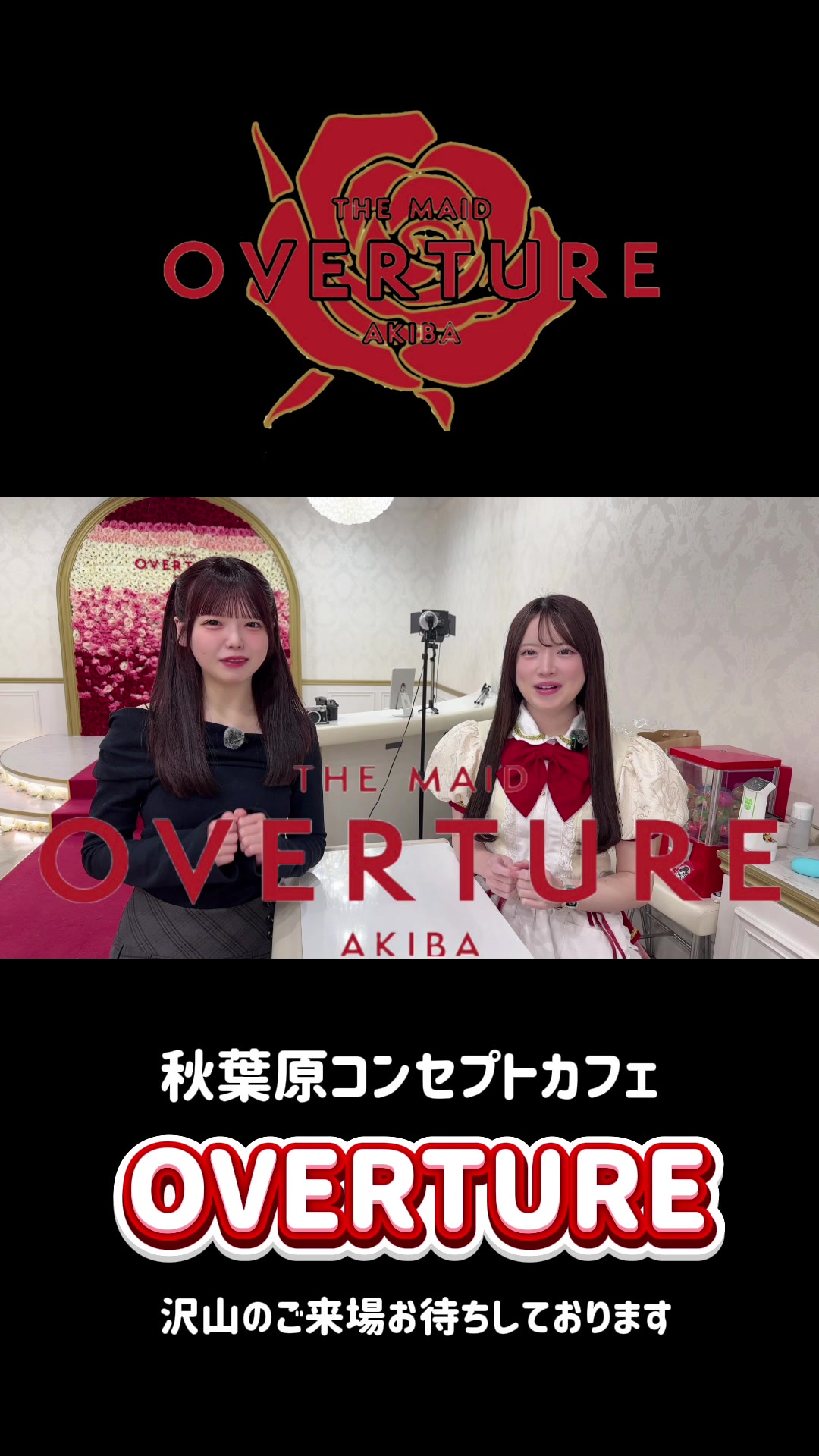 OVERTURE ホットニュース 219714