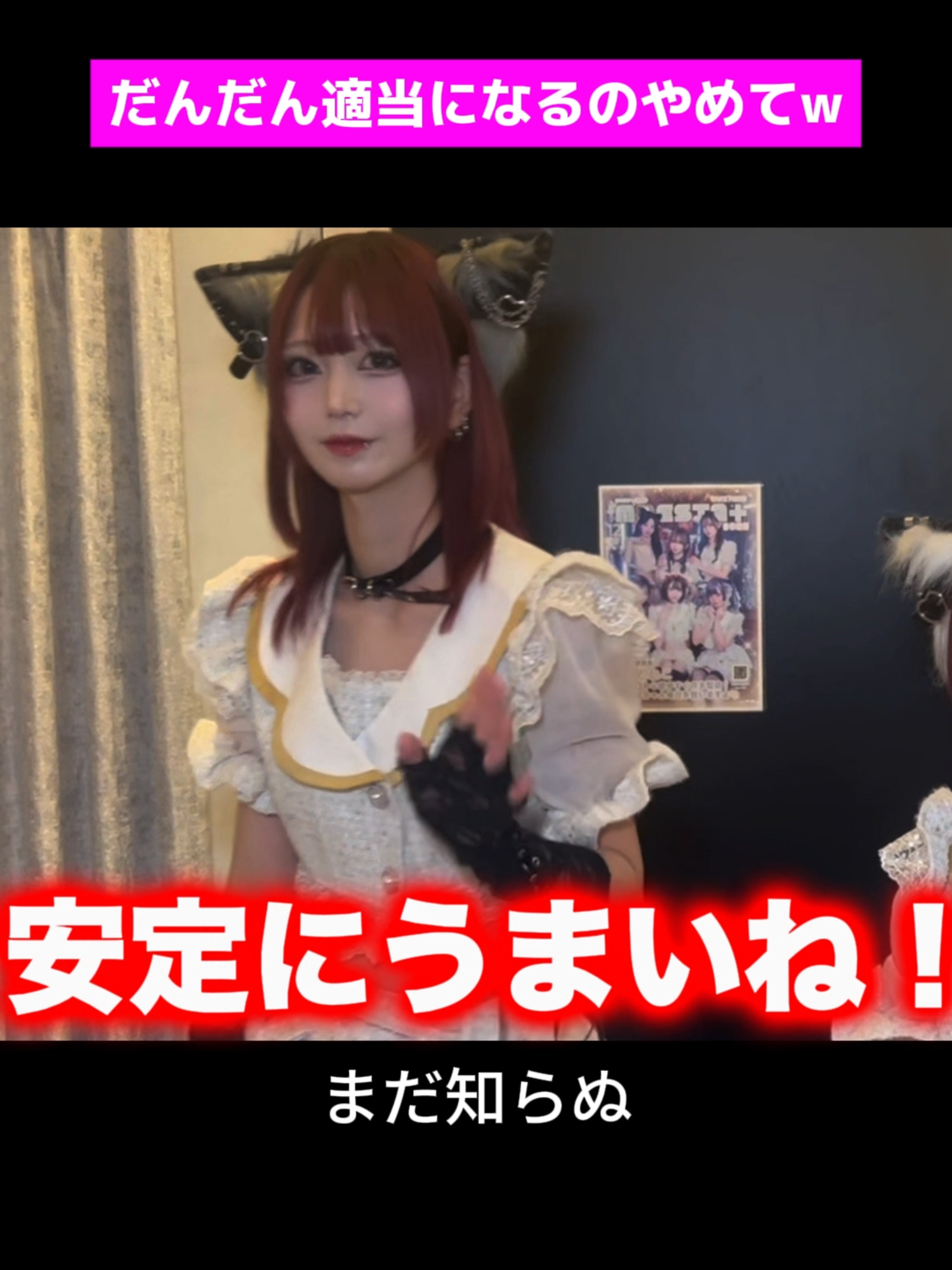 あんど&ねこ ホットニュース 219887