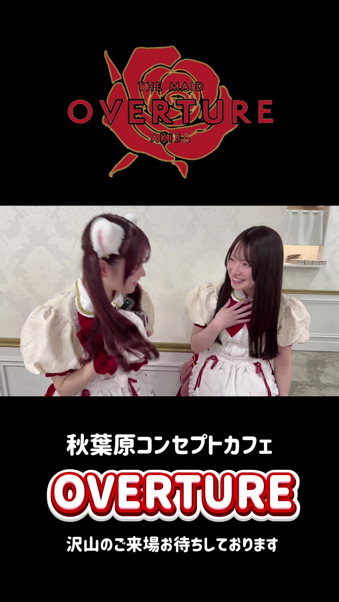 OVERTURE ホットニュース 220419