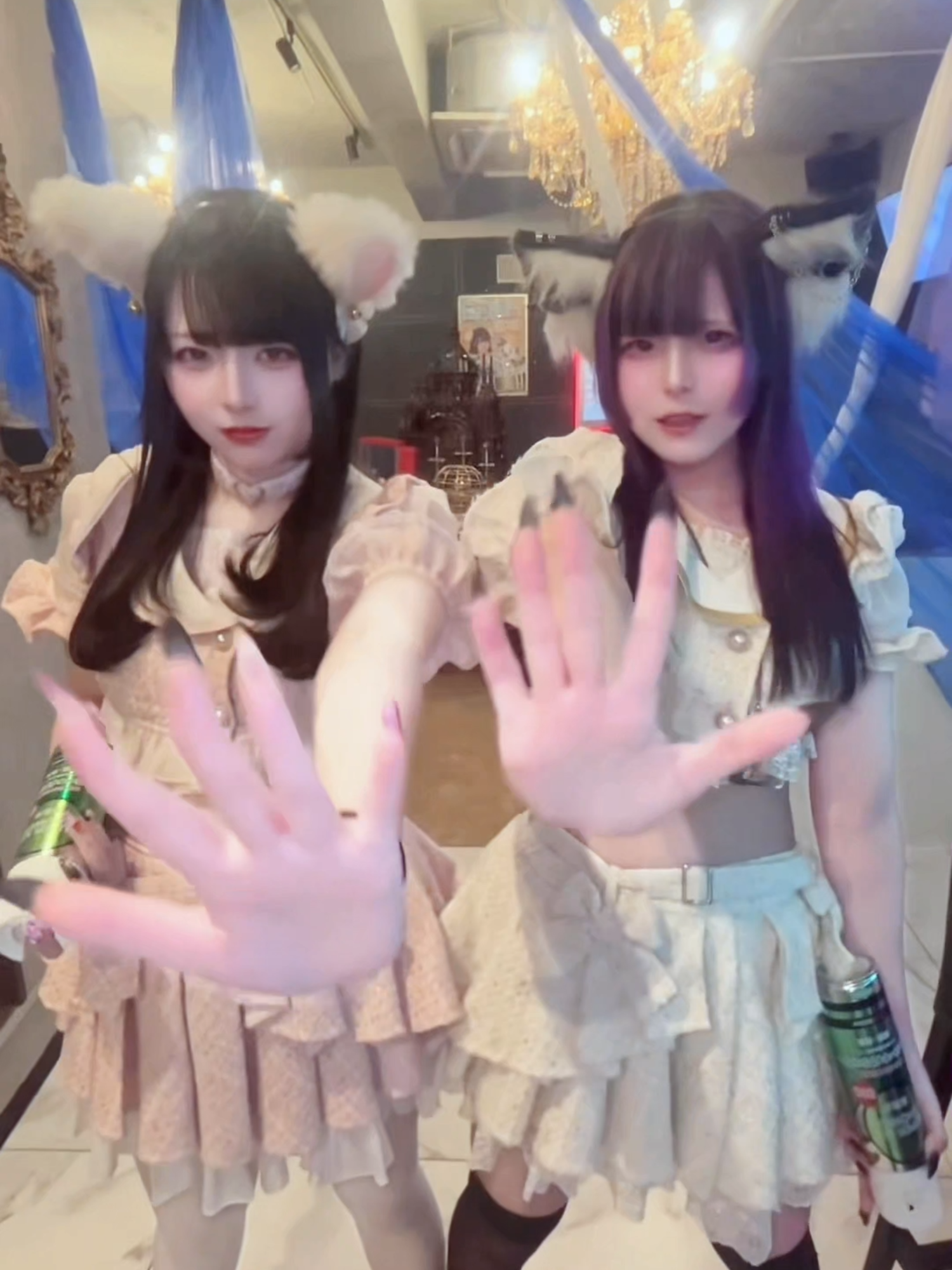 あんど&ねこ ホットニュース 220463