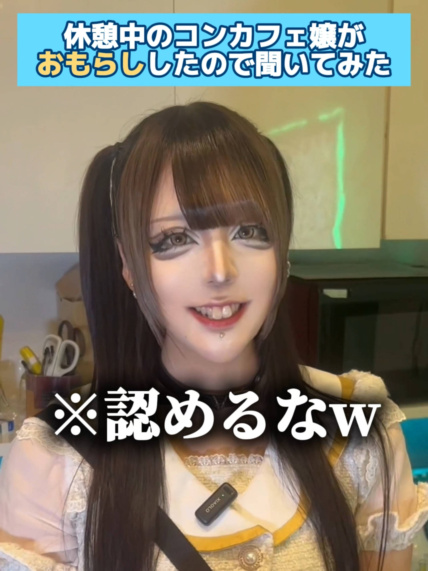 あんど&ねこ ホットニュース 220556