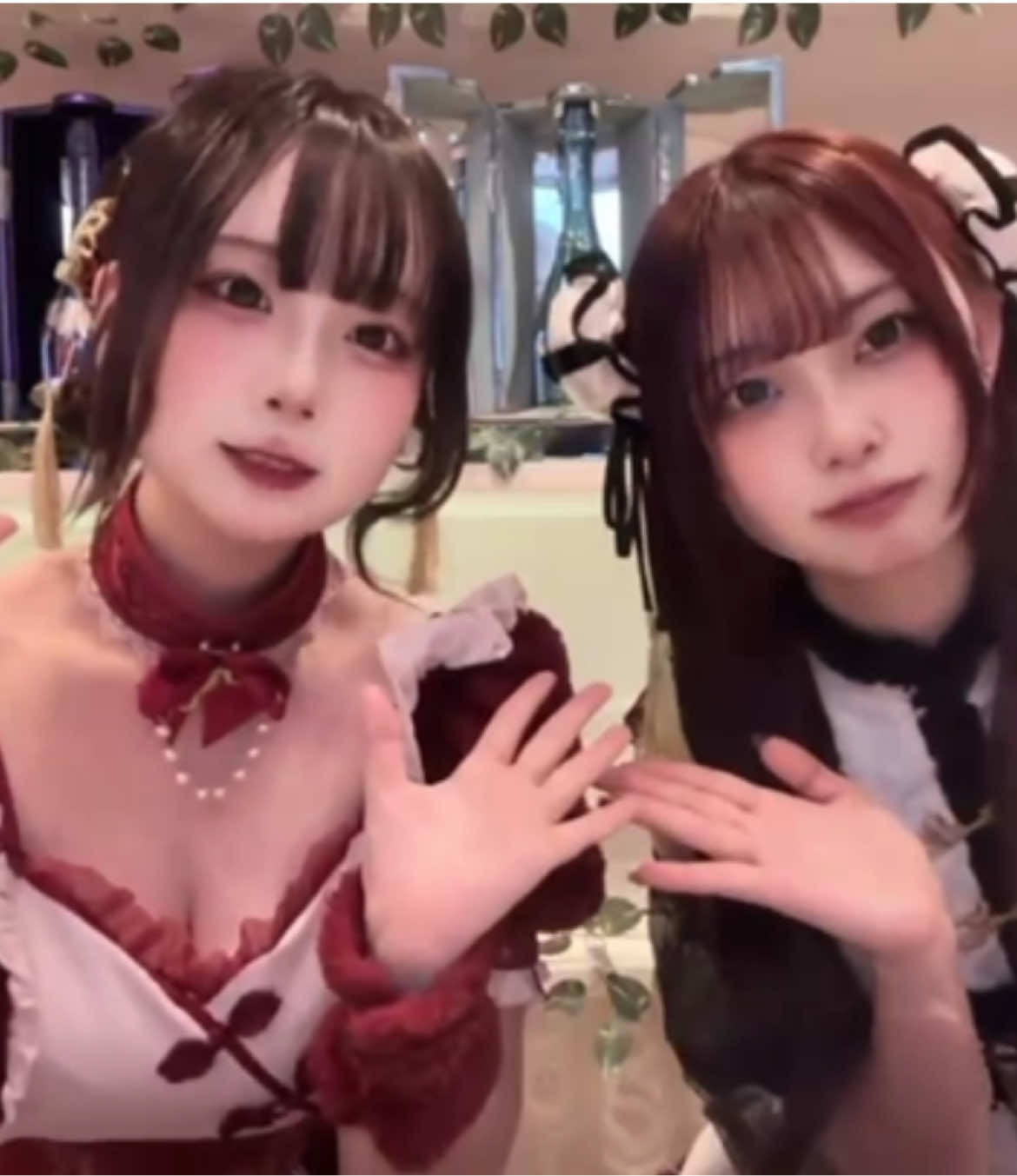 TiaRabbit ホットニュース 221244