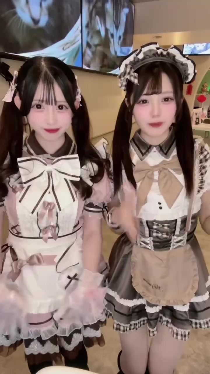 TiaRabbit ホットニュース 221804