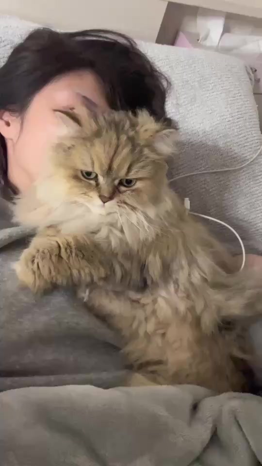 Angel Feather日記1595443