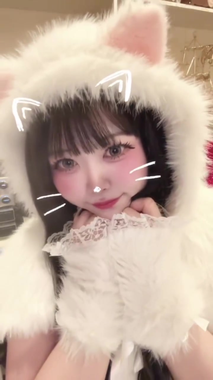 Cafe＆Bar Doll's Cafe ホットニュース 222279