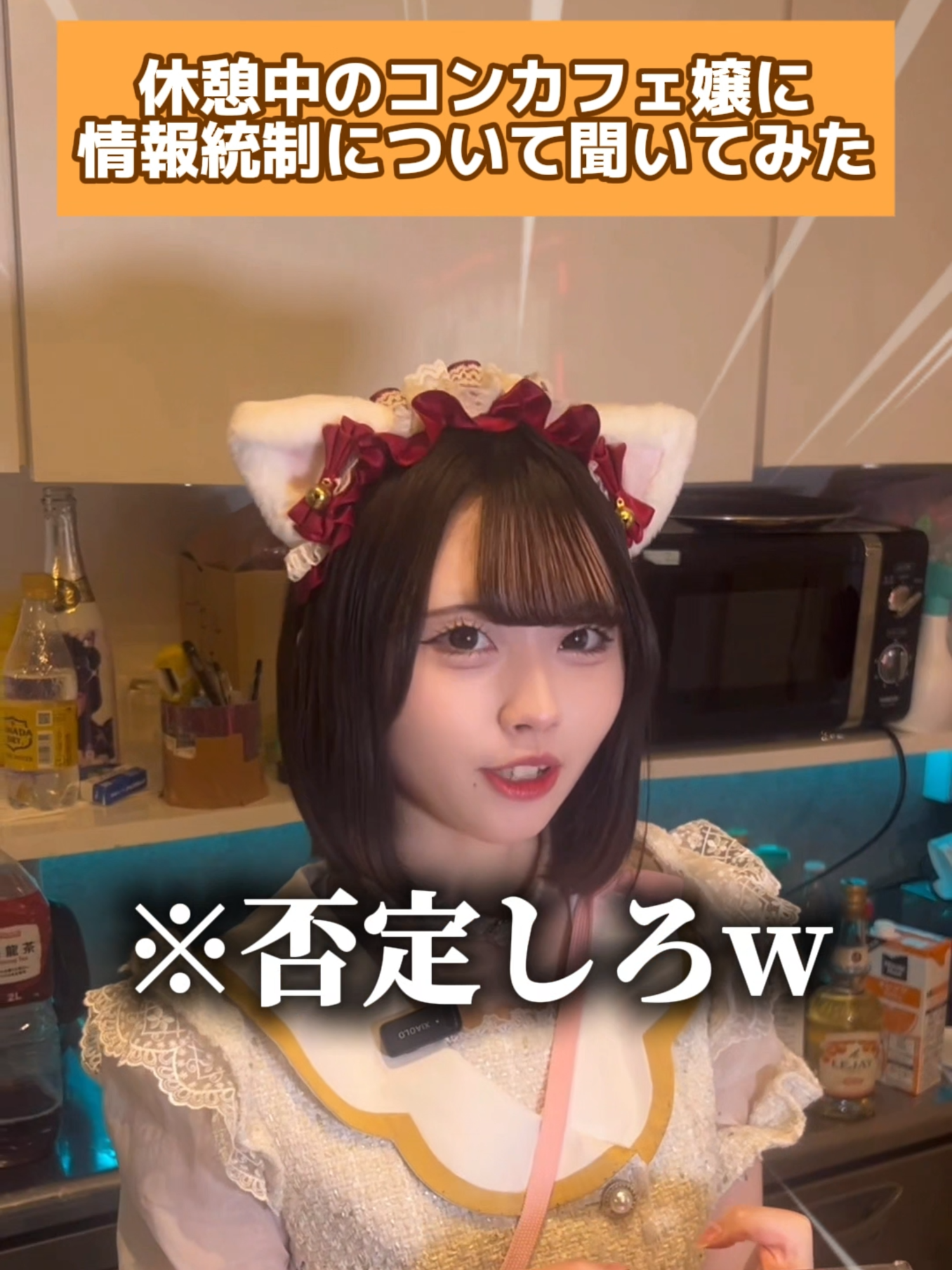 あんど&ねこ ホットニュース 223418