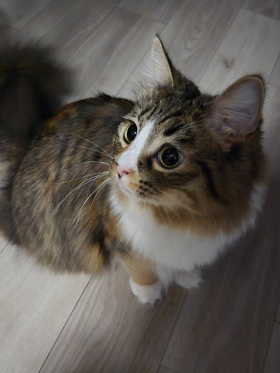 Orange Terrace日記1602499