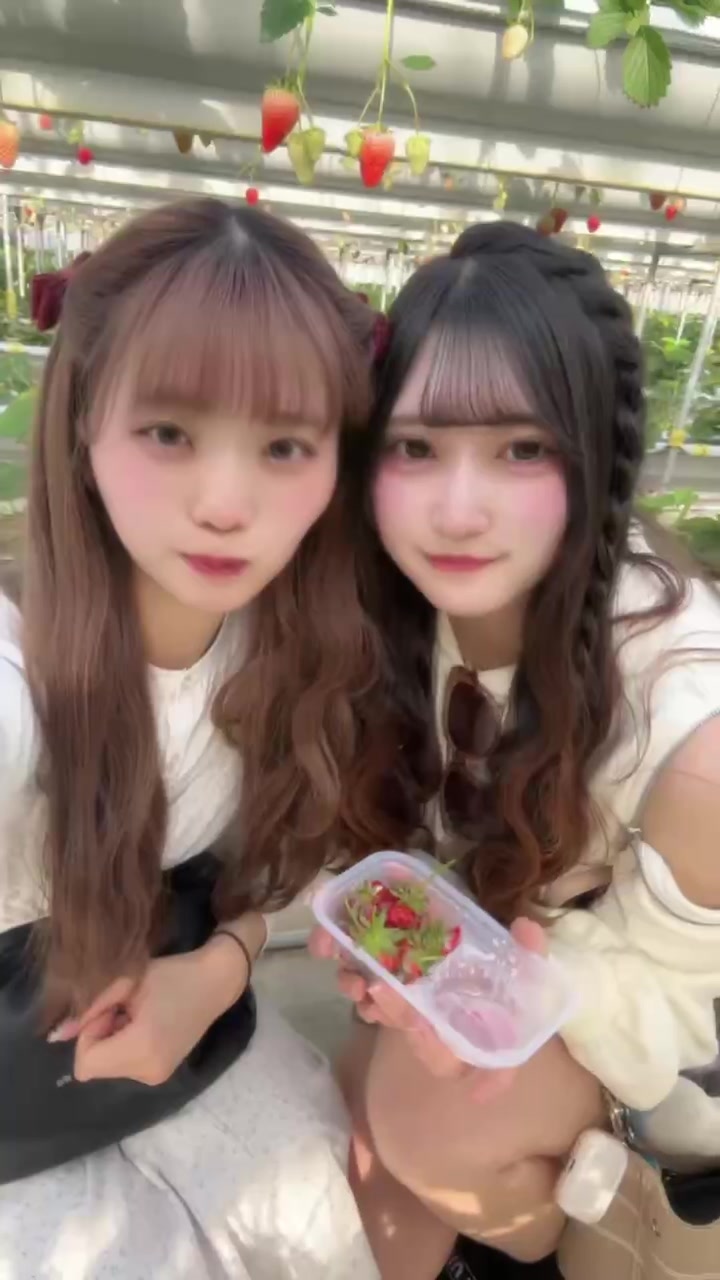 くろ×スト～黒猫とシンデレラストーリー～ ホットニュース 224124