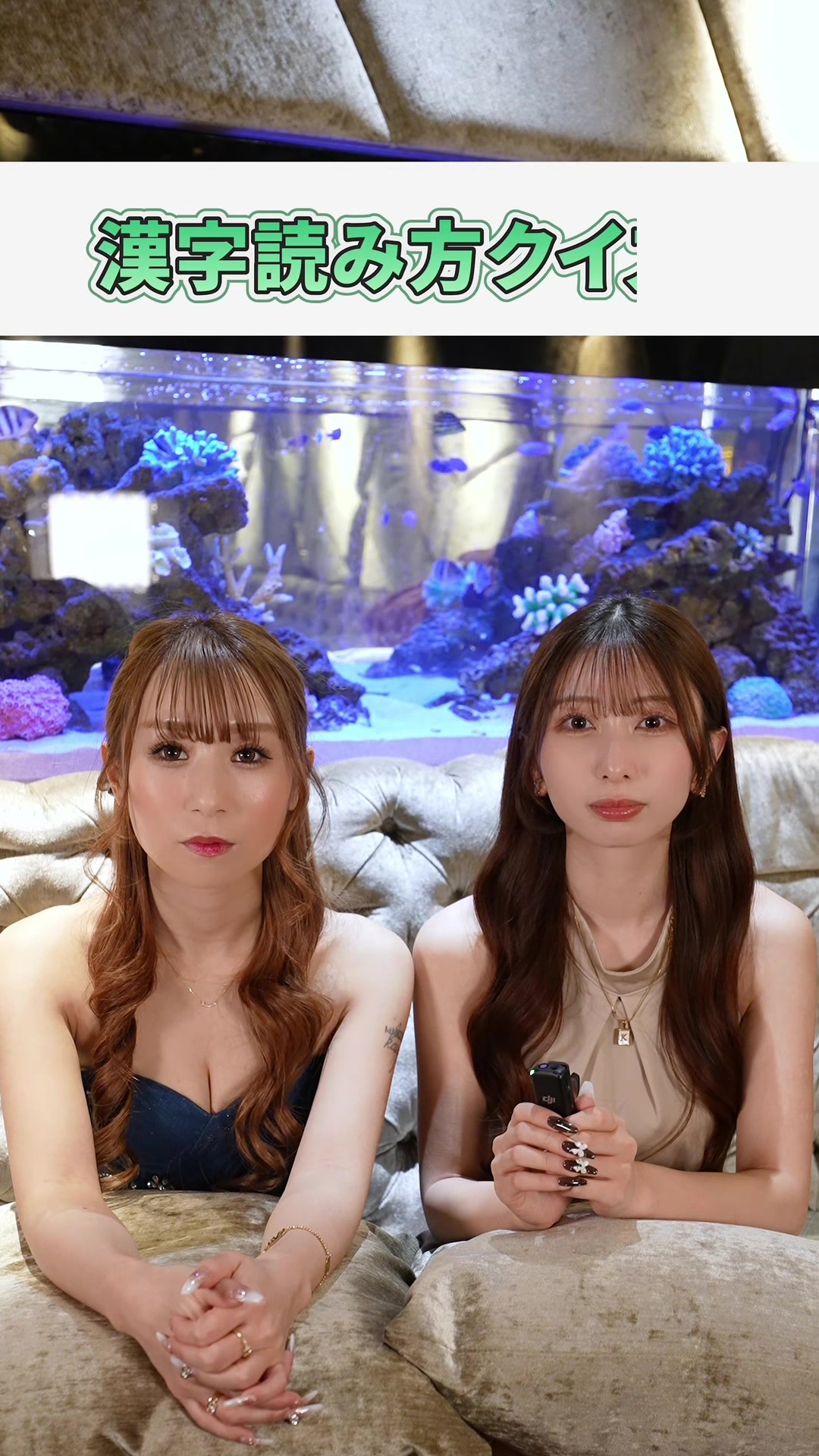 GRACIA ホットニュース 224381