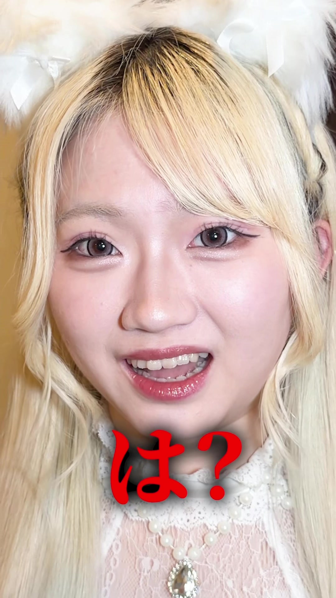 Cafe and Bar Trace ホットニュース 224652