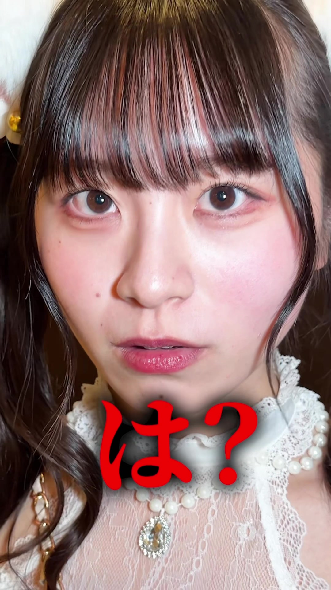 Cafe and Bar Trace ホットニュース 224929