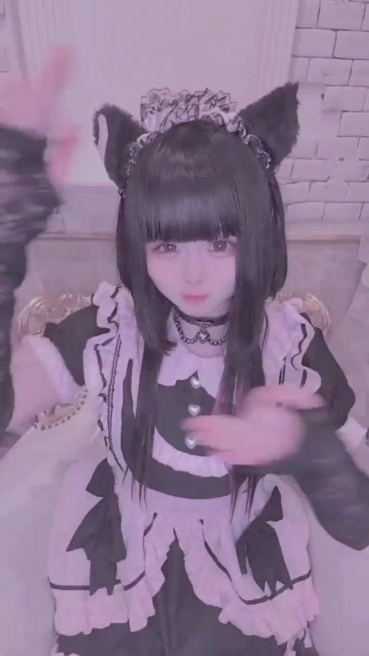 TiaRabbit ホットニュース 225094