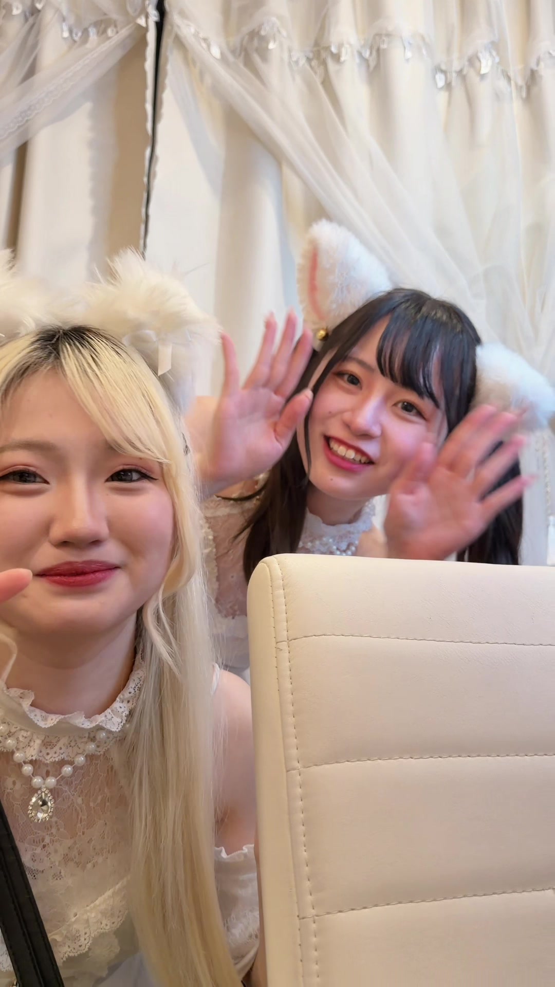 Cafe and Bar Trace ホットニュース 225188