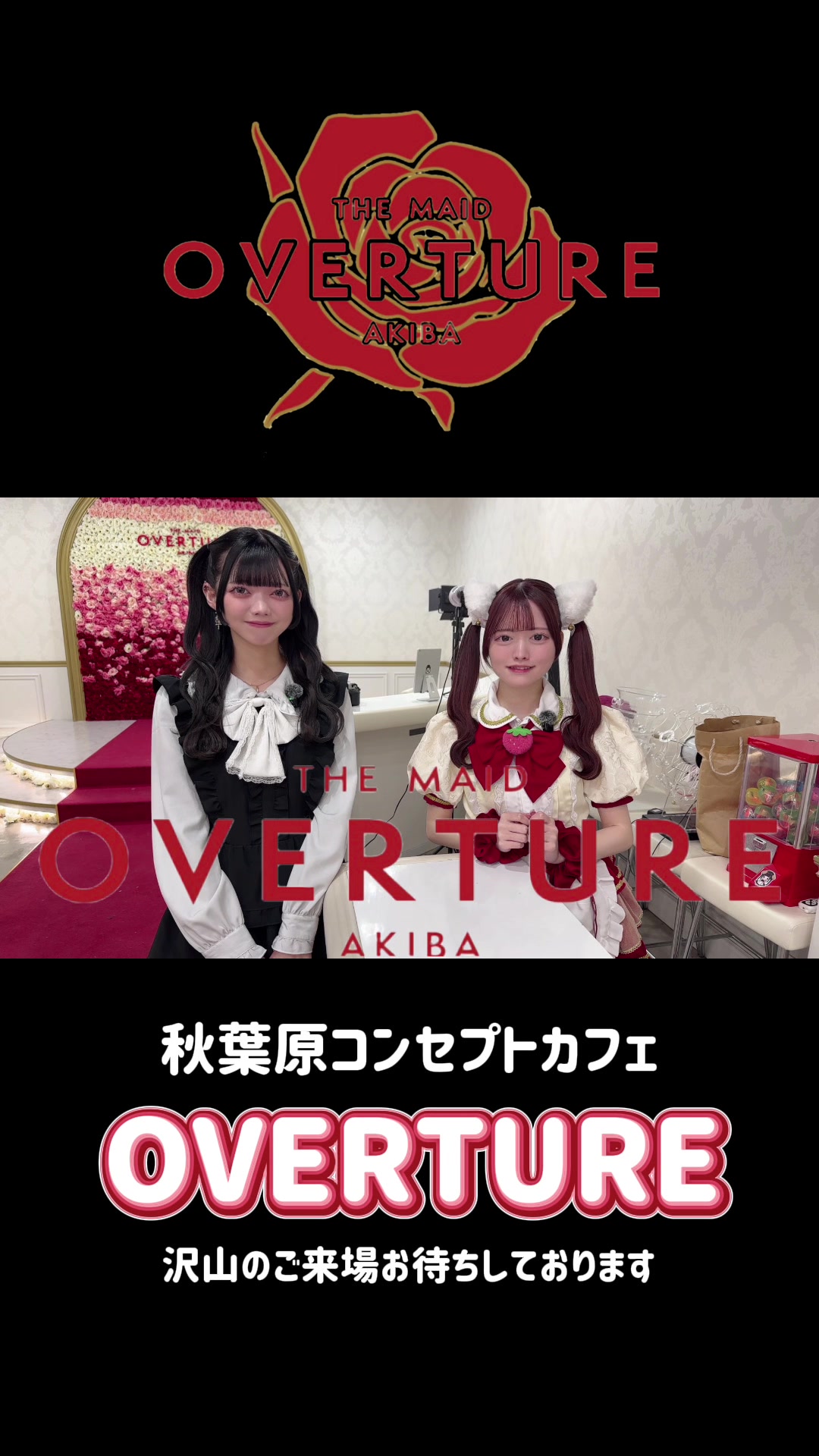 OVERTURE ホットニュース 225198