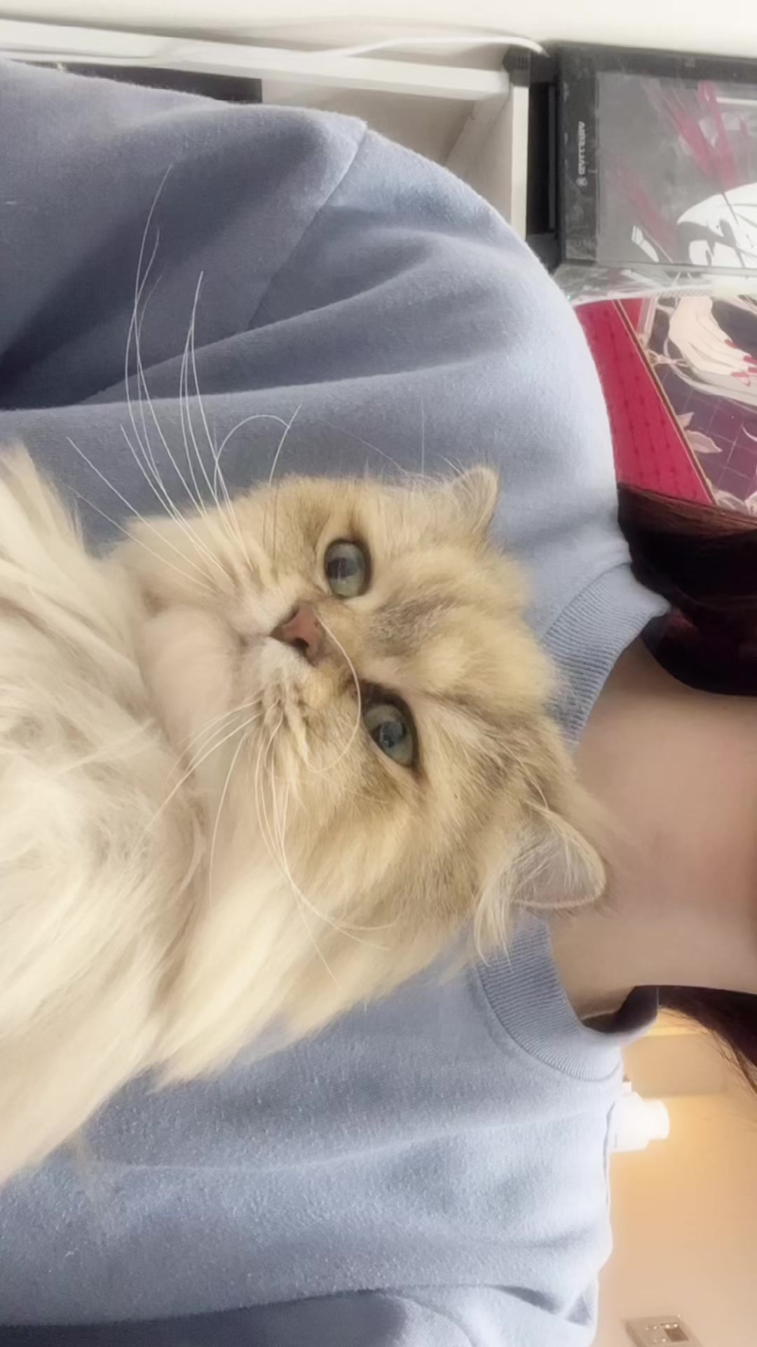 Angel Feather日記1617468