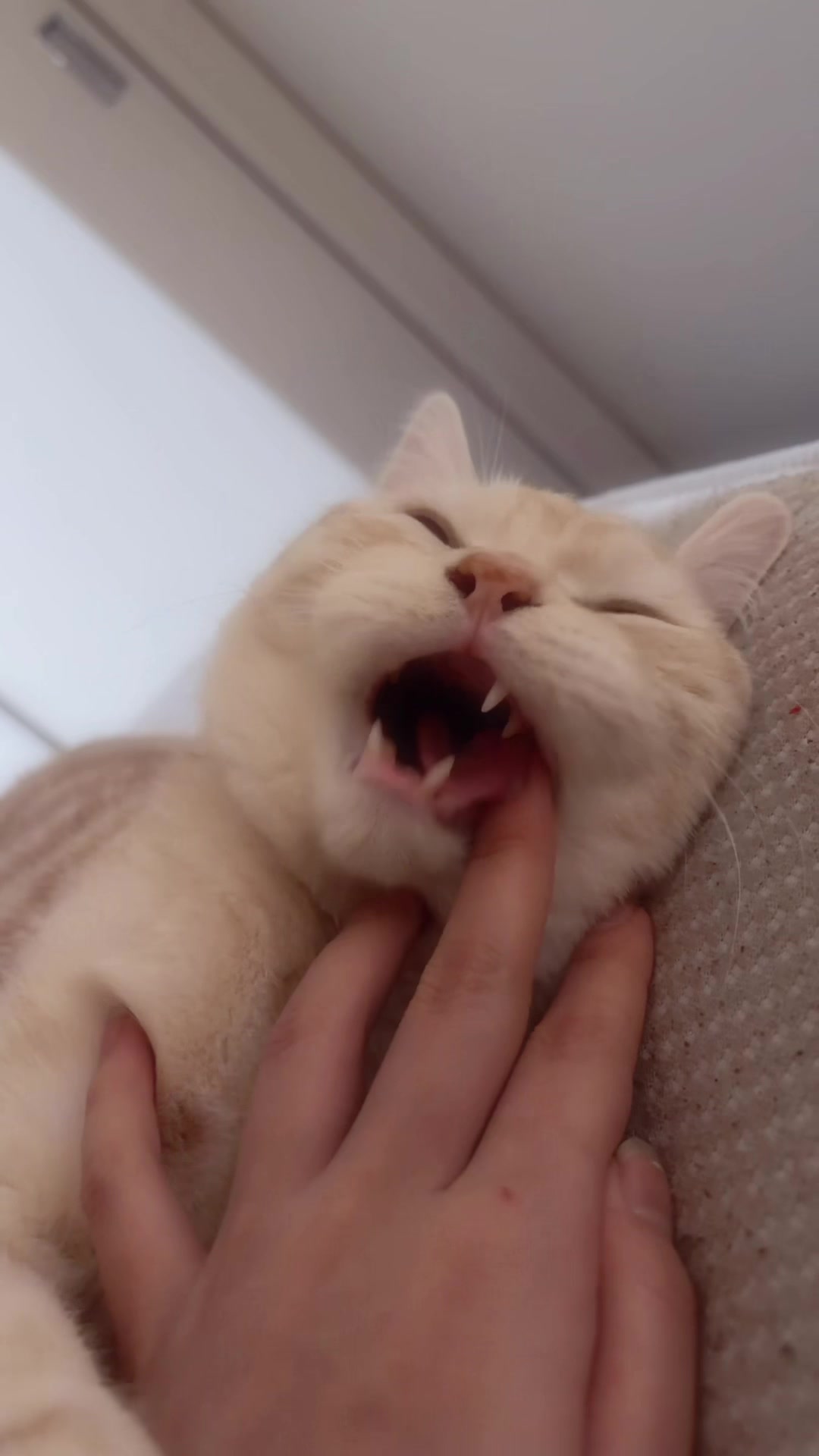 Club Empress ミナミ日記1618515