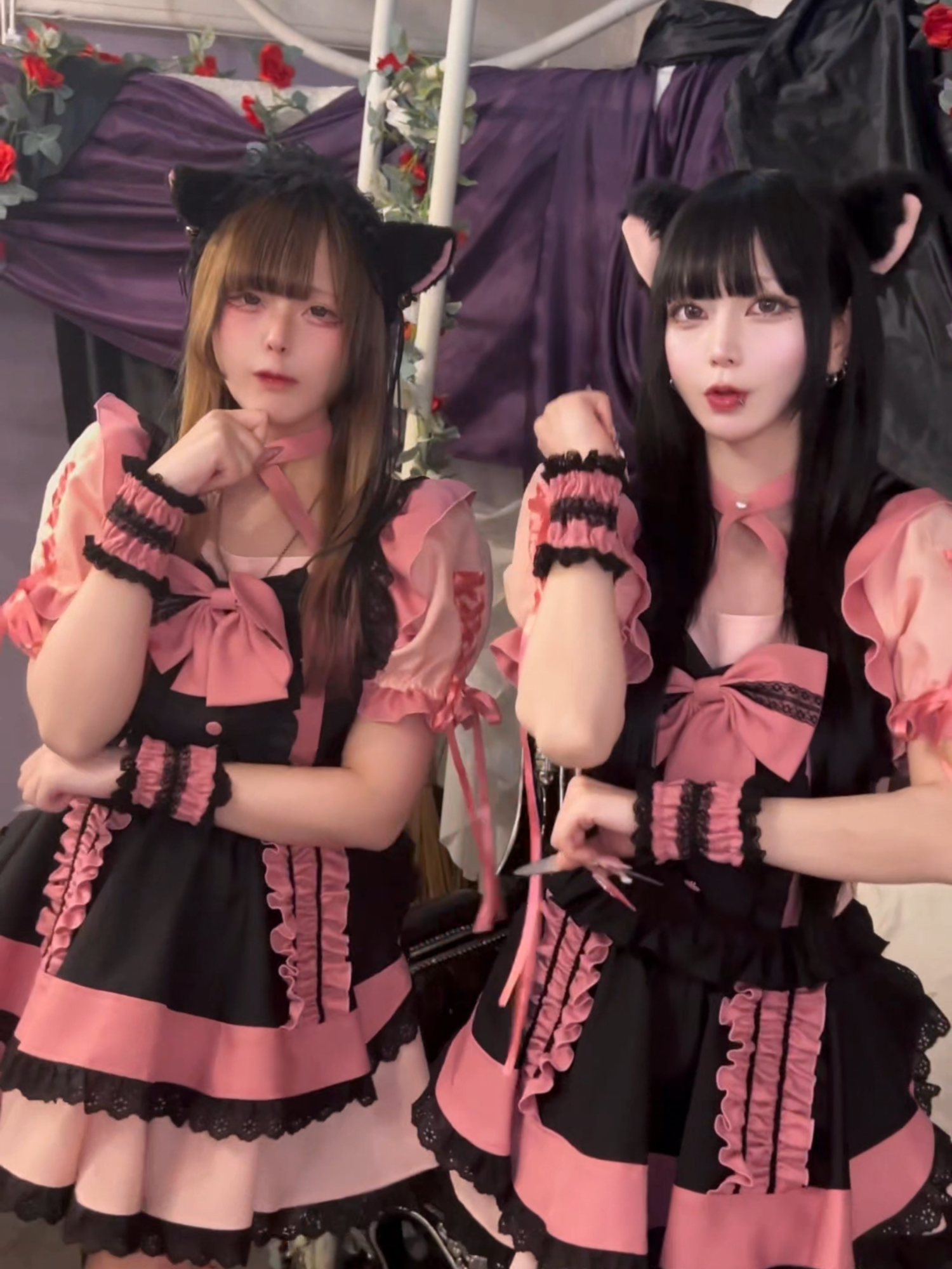 あんど&ねこ ホットニュース 227722