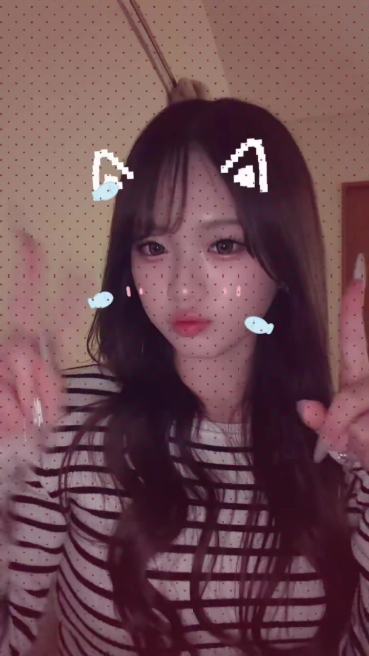 ZOO 京都日記1622004