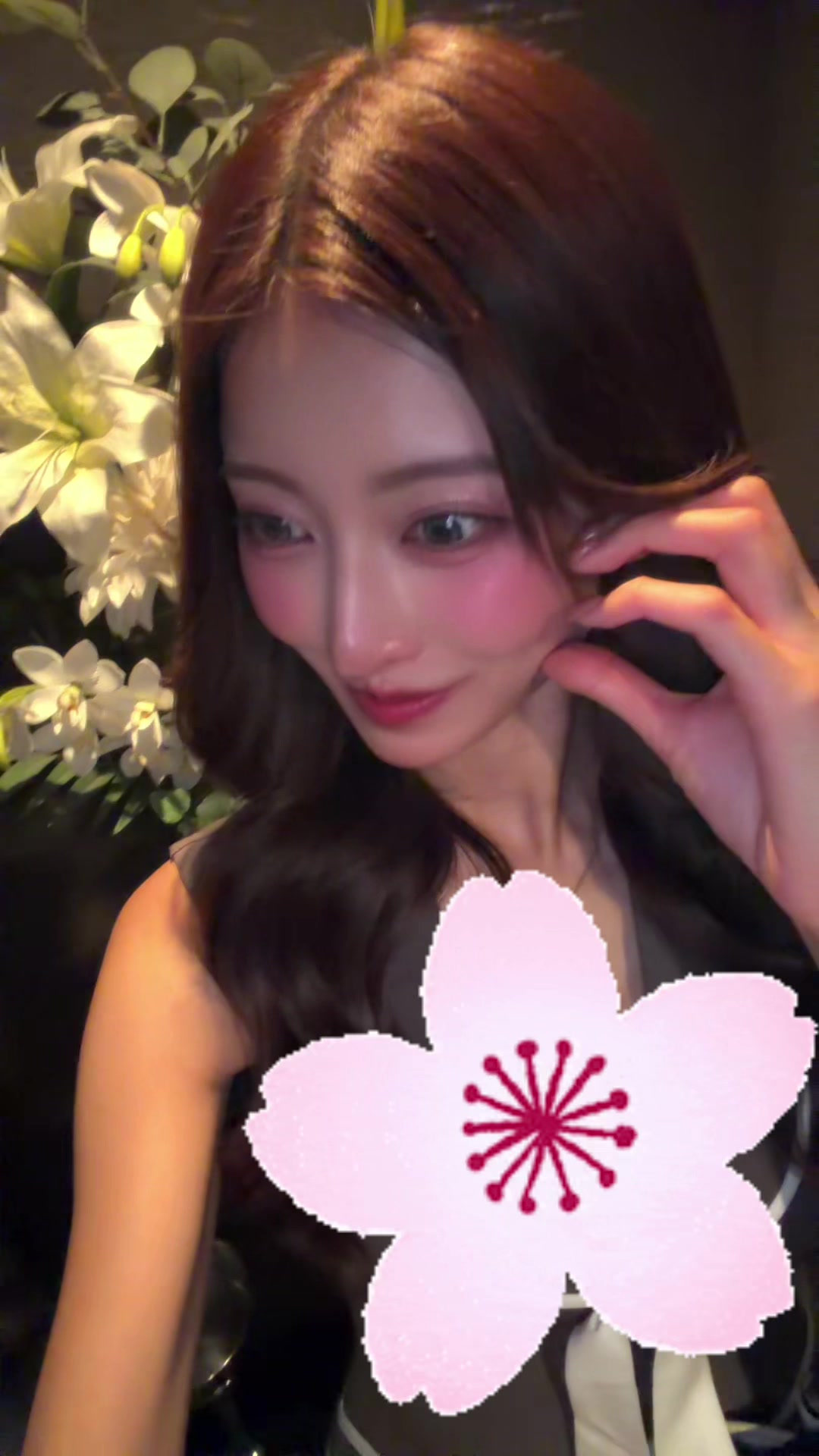 美人茶屋日記1623168