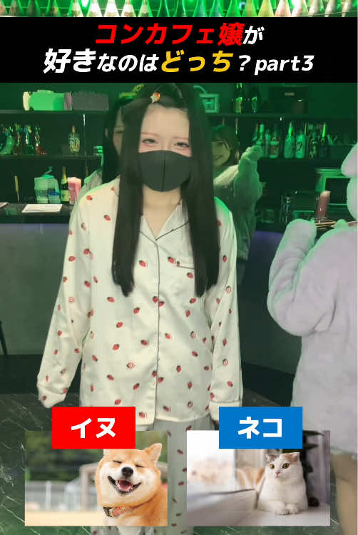 Cafe&Bar あるこほりっく ホットニュース 228562
