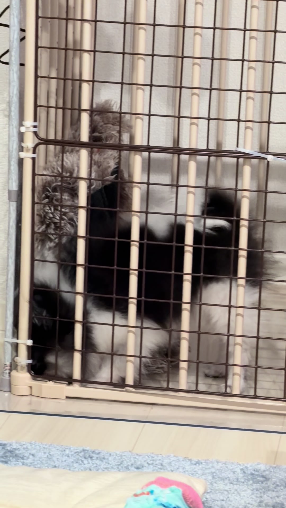 美人百華日記1623911