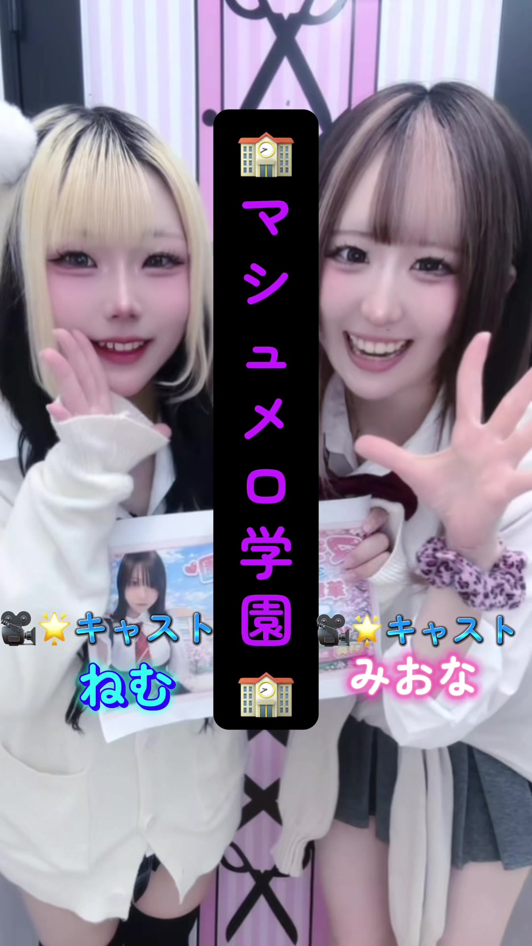 マシュメロ ホットニュース 228837