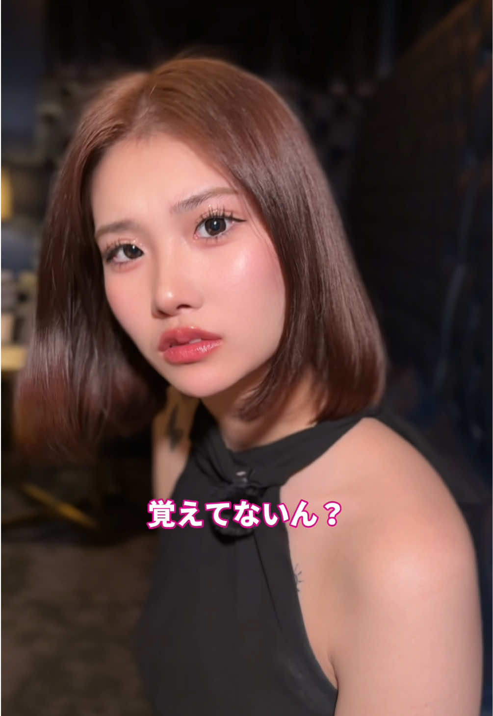 PALACE ホットニュース 228938