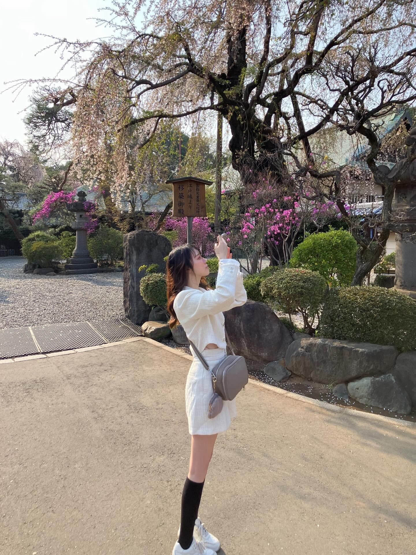 club Le Pin日記1625996