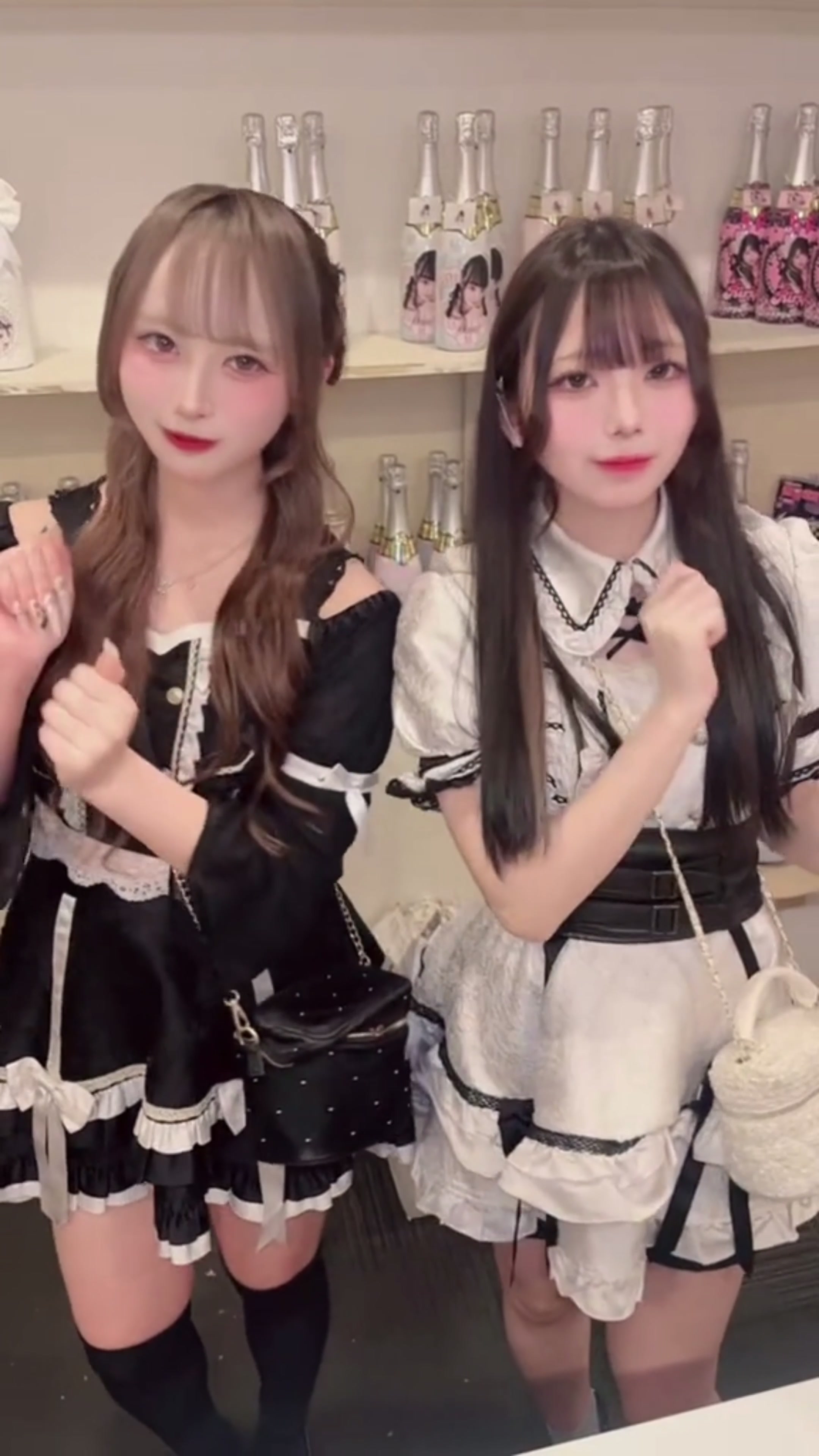 Cafe＆Bar Doll's Cafe ホットニュース 229078