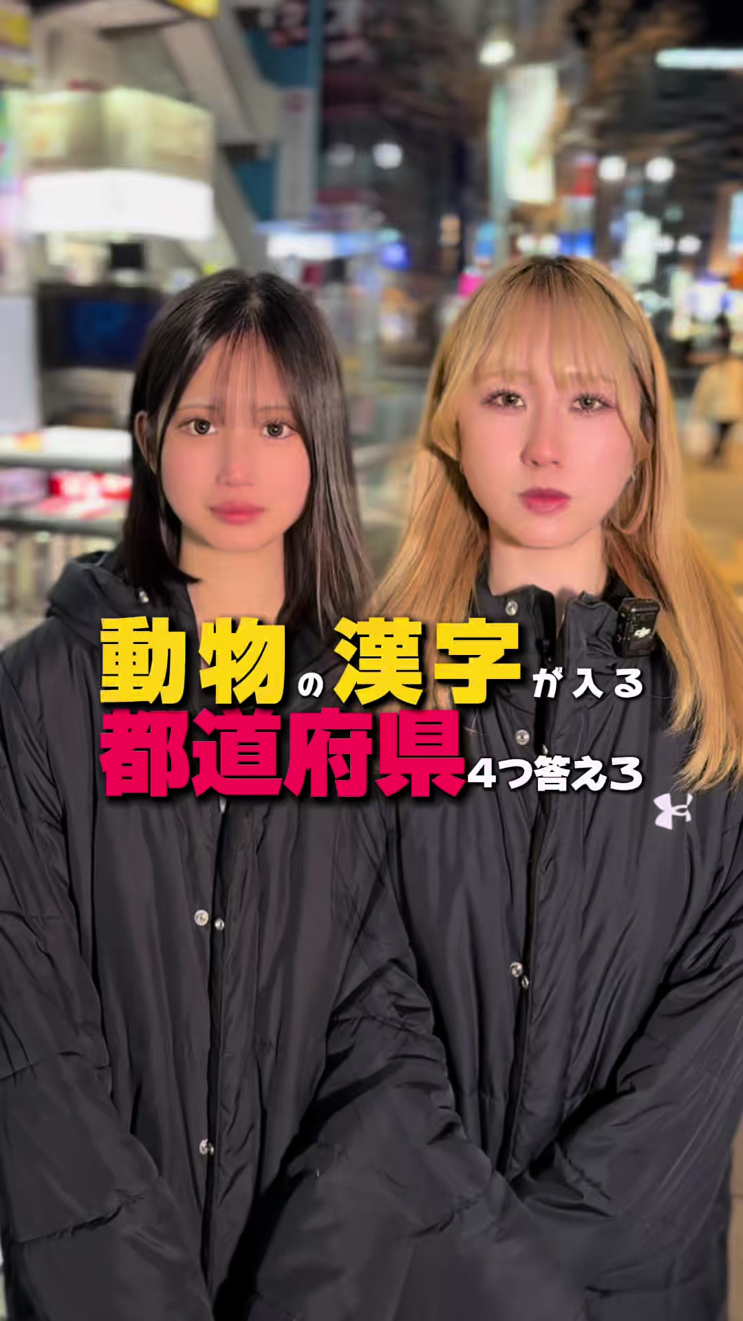 Girl'sBar Shelly ホットニュース 229081