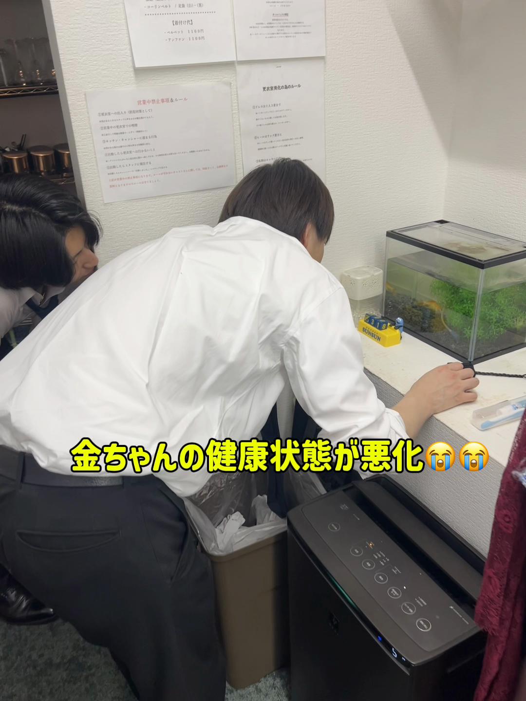 一扇流々 ホットニュース 229636