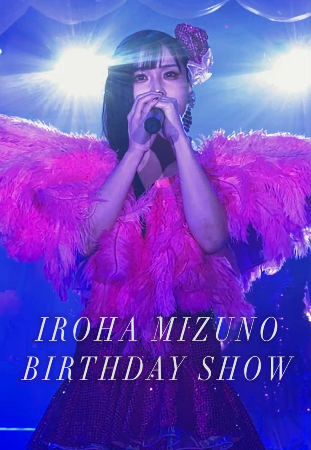 不死鳥 ホットニュース 230252