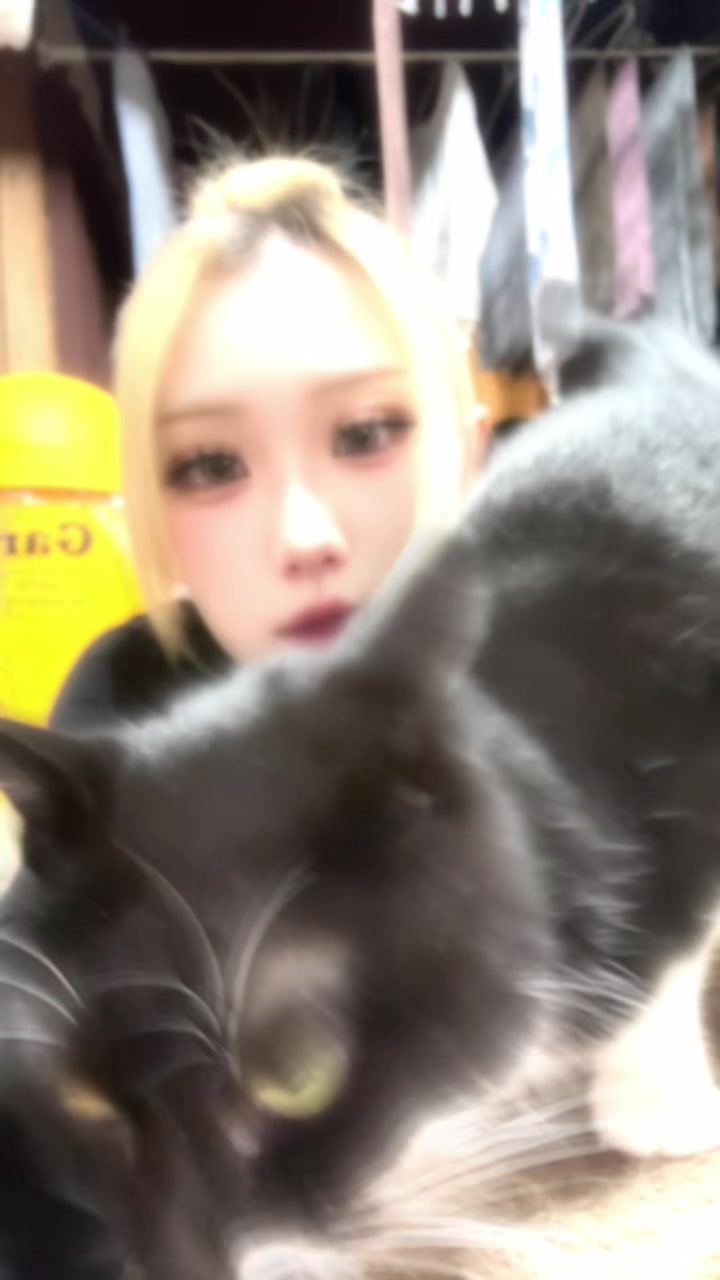 GIRLS BAR ROBIN日記1631350