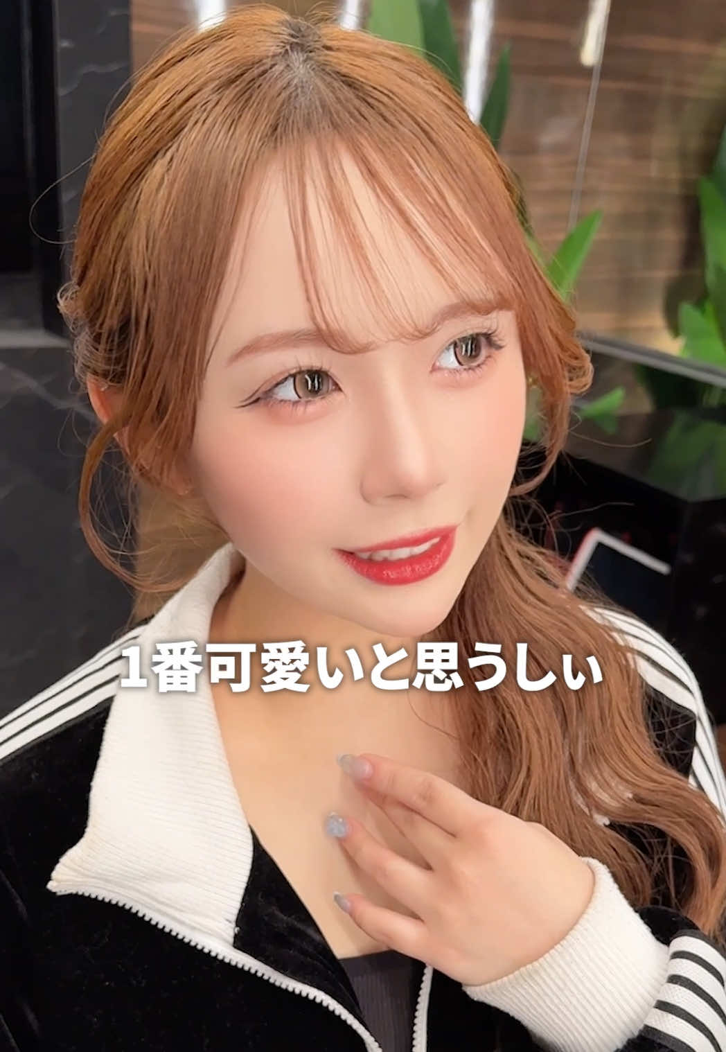 一条 葵