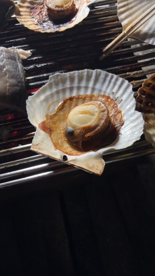 好物🙆‍♀️