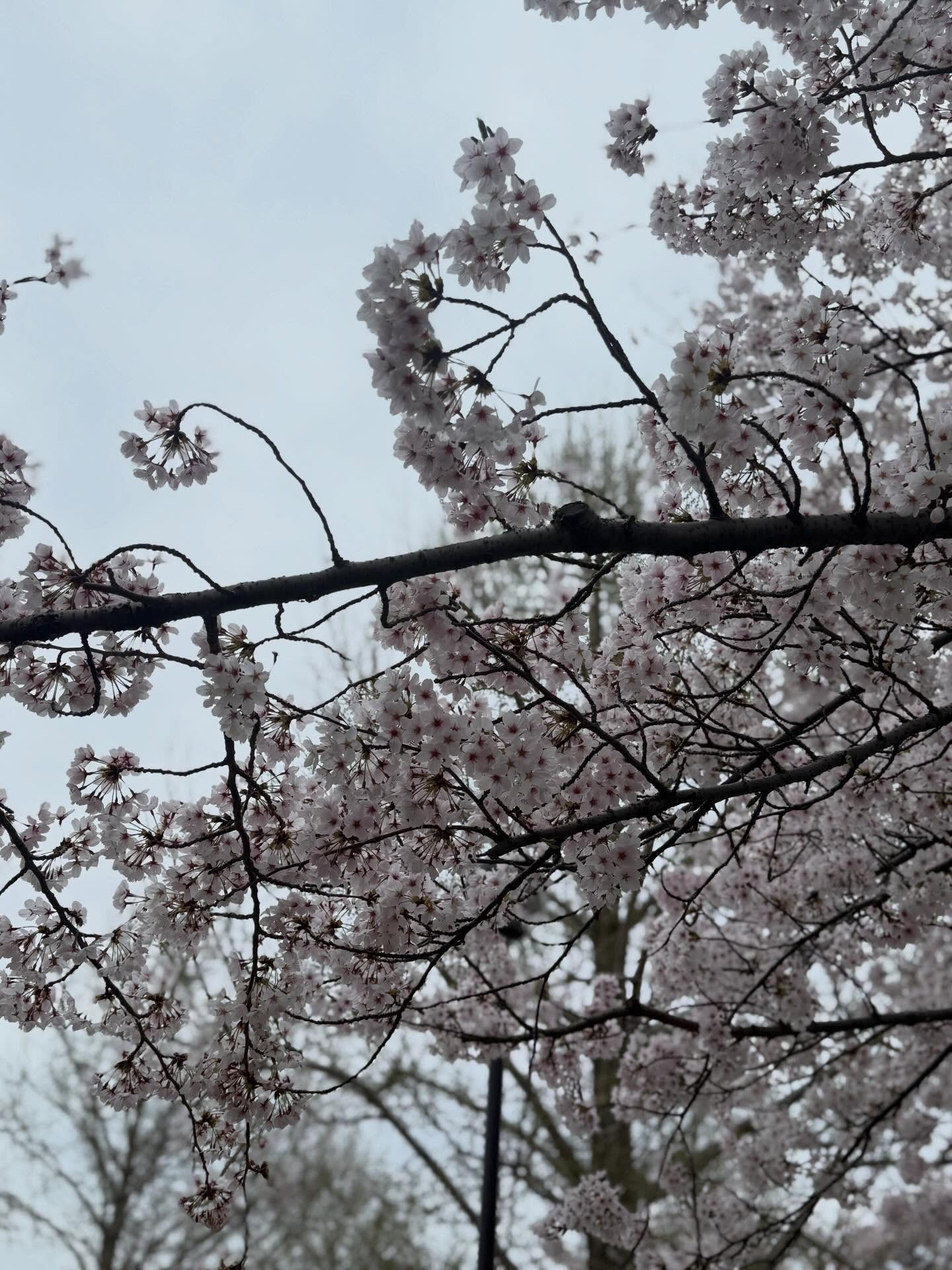 Club Ludan日記1634578