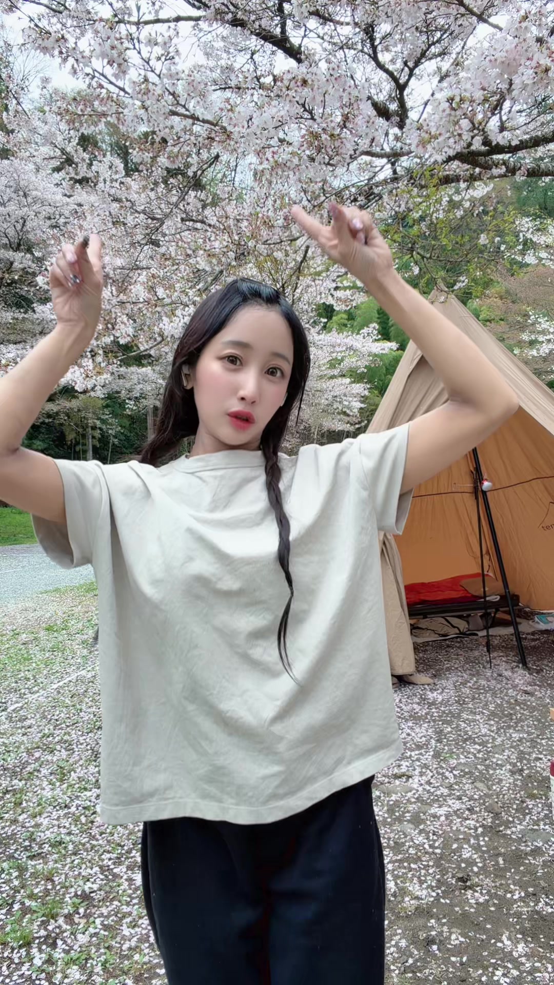 不死鳥日記1636246