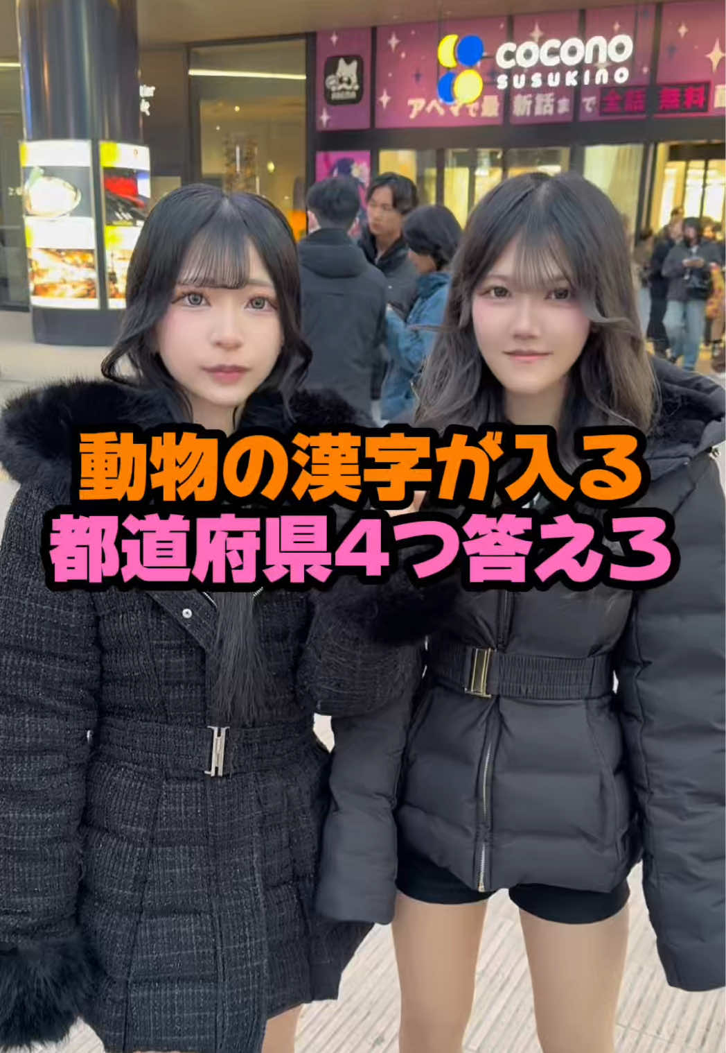 Cafe＆Bar Kitty ホットニュース 231659