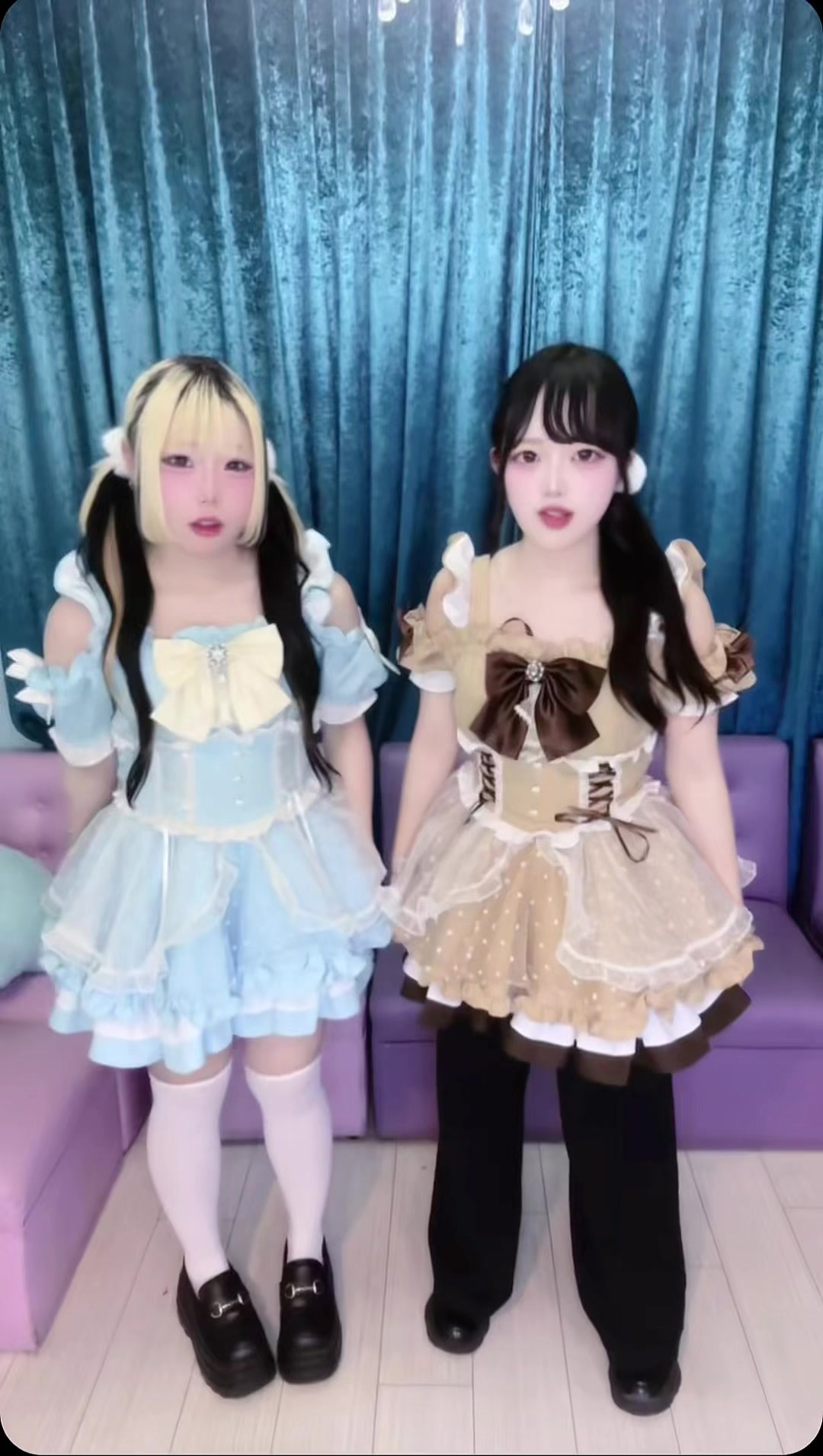 マシュメロ ホットニュース 231663