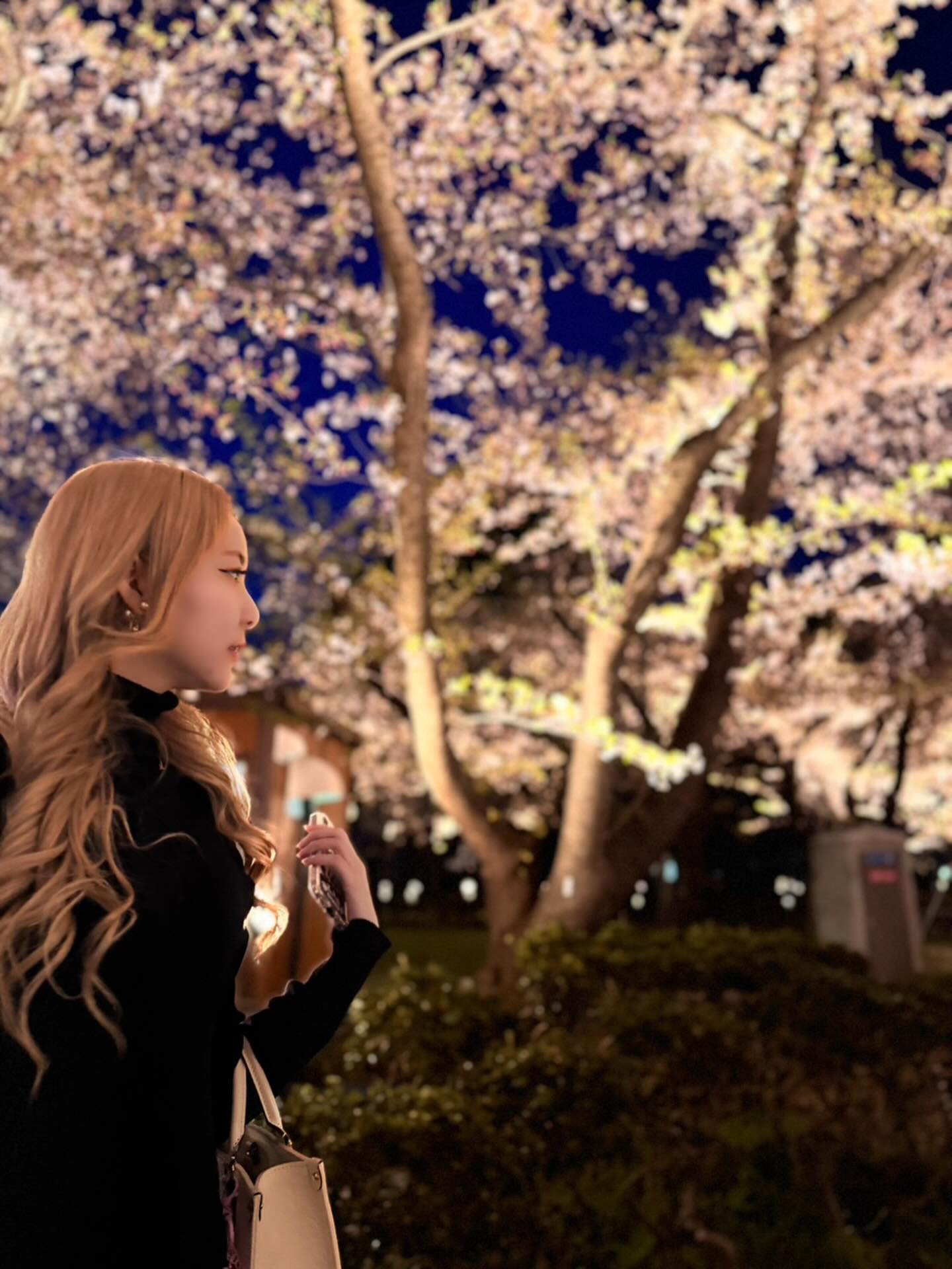 Club Ludan日記1637853