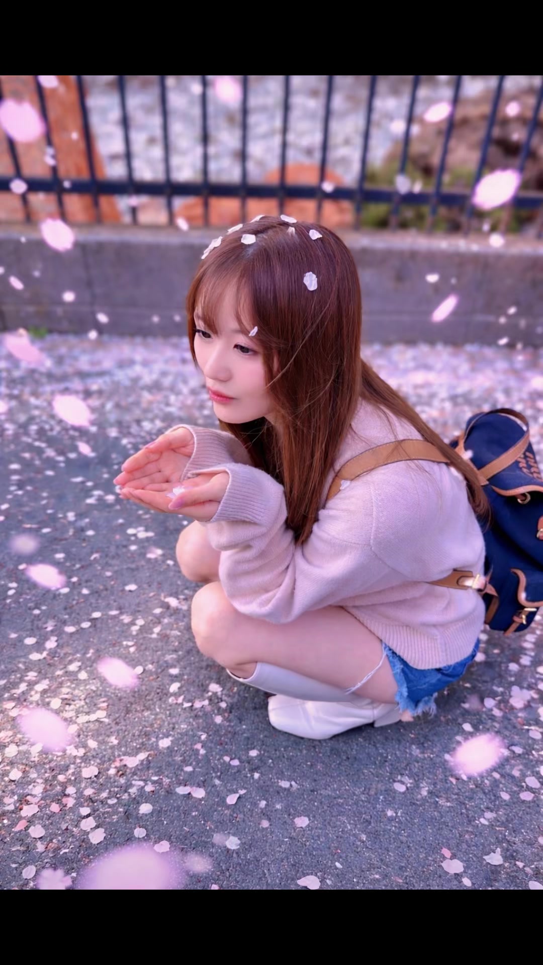一条 葵