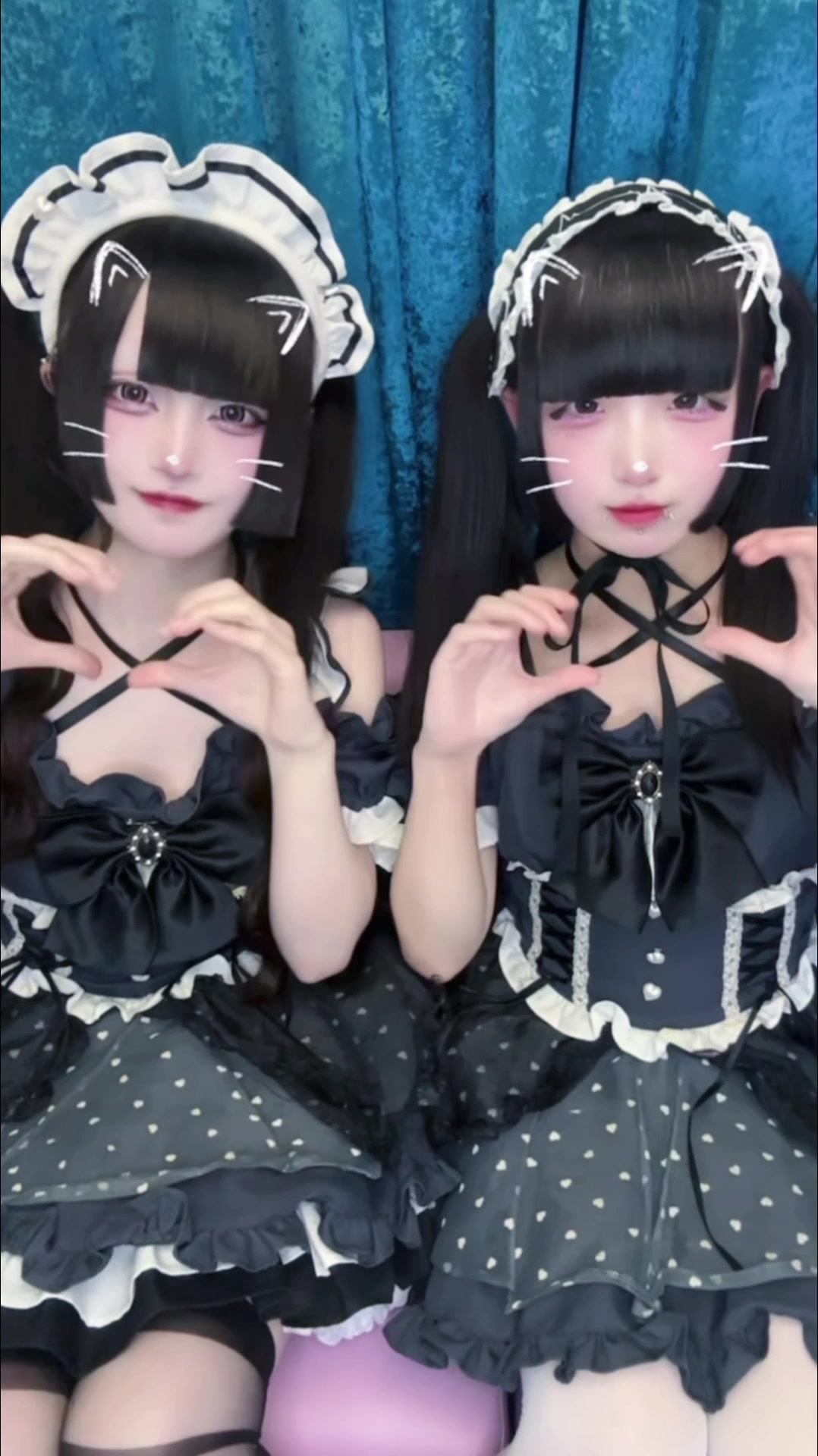 マシュメロ ホットニュース 232048