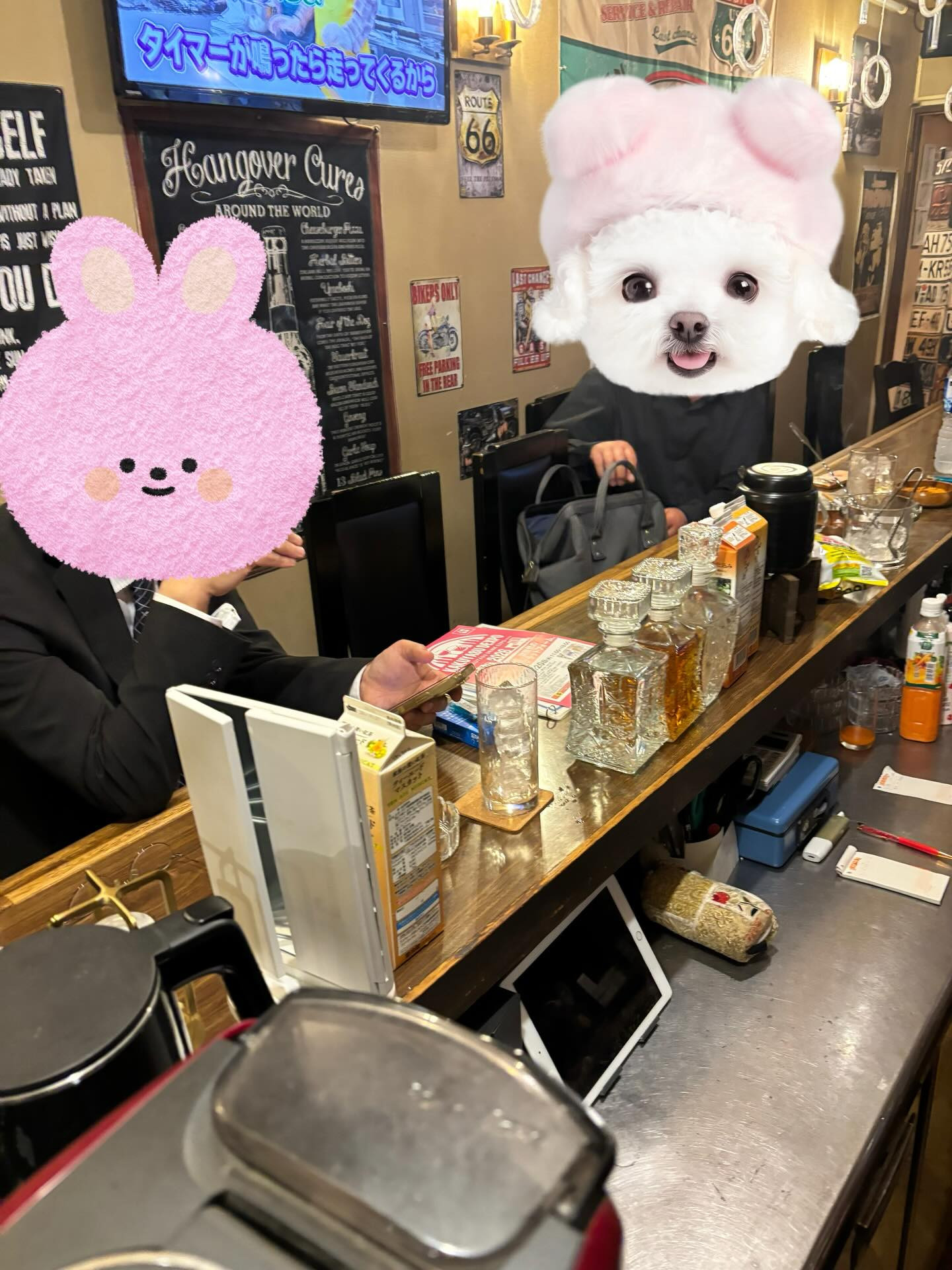 QUEEN ホットニュース 232346