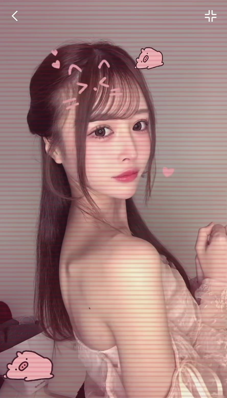 一条 葵