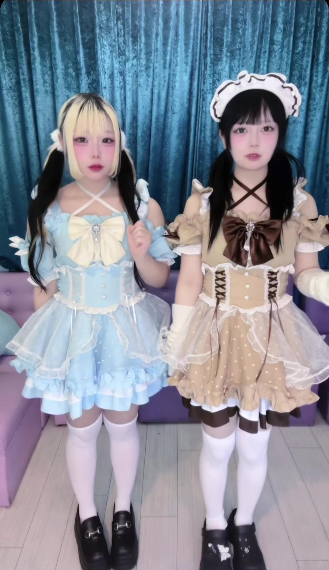 マシュメロ ホットニュース 232592