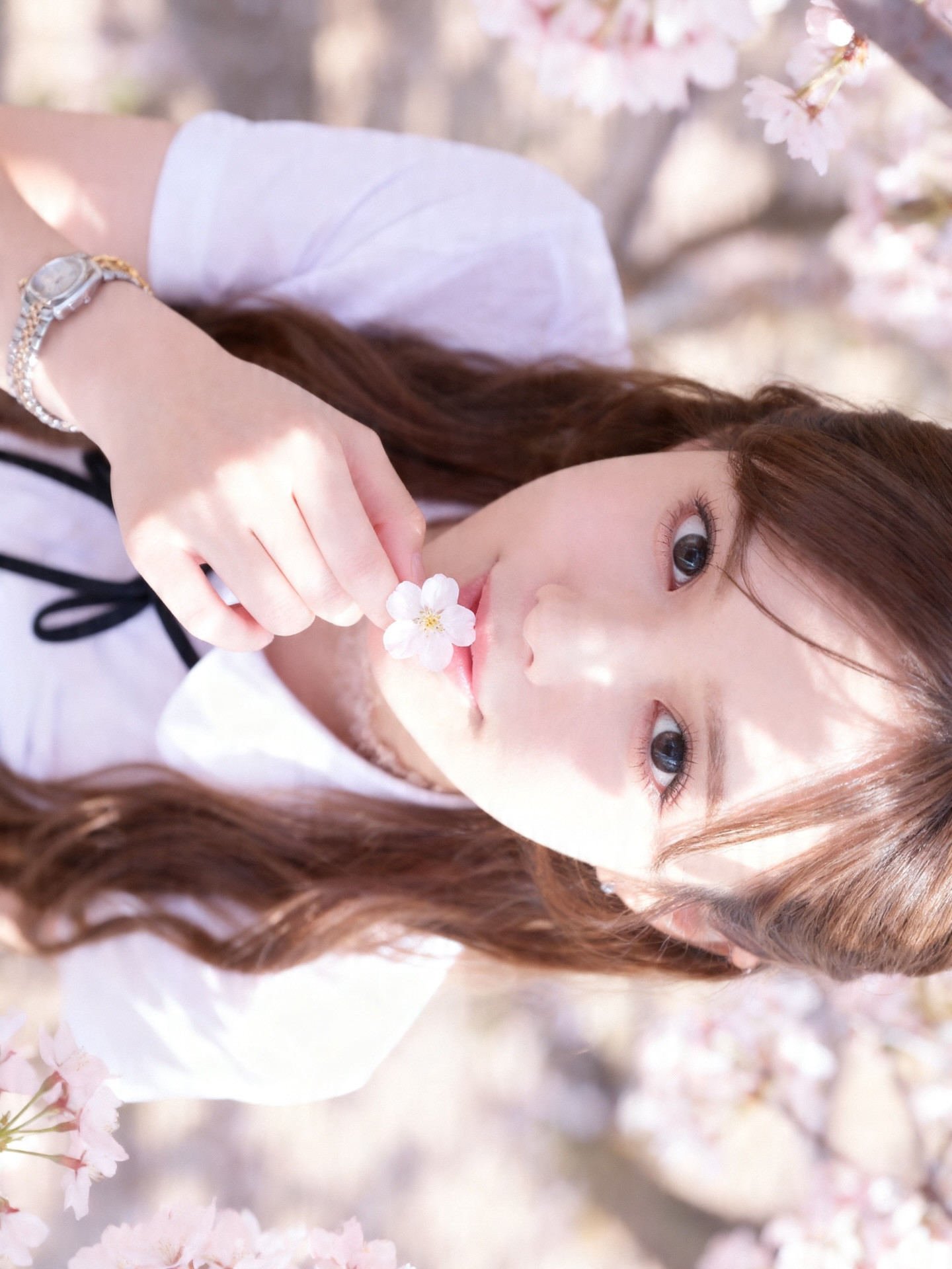 Belle Lounge Sapporo日記1642435