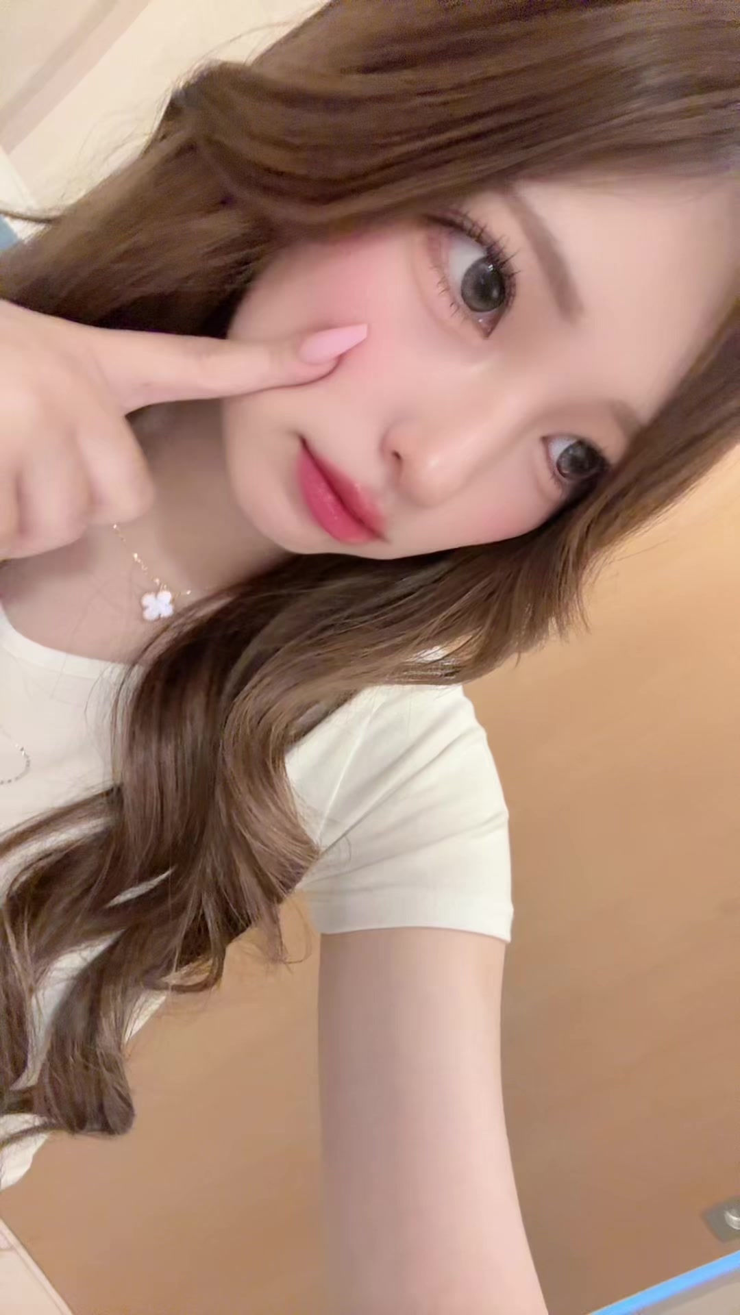 一条 葵