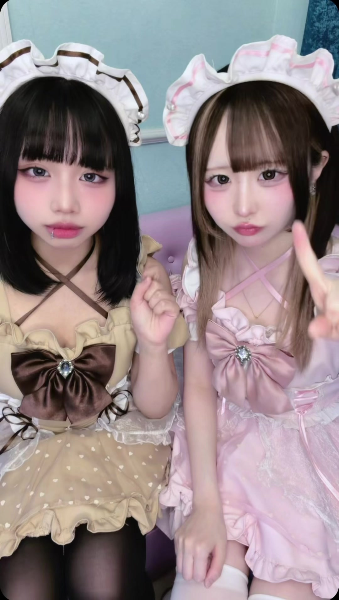 マシュメロ ホットニュース 233998