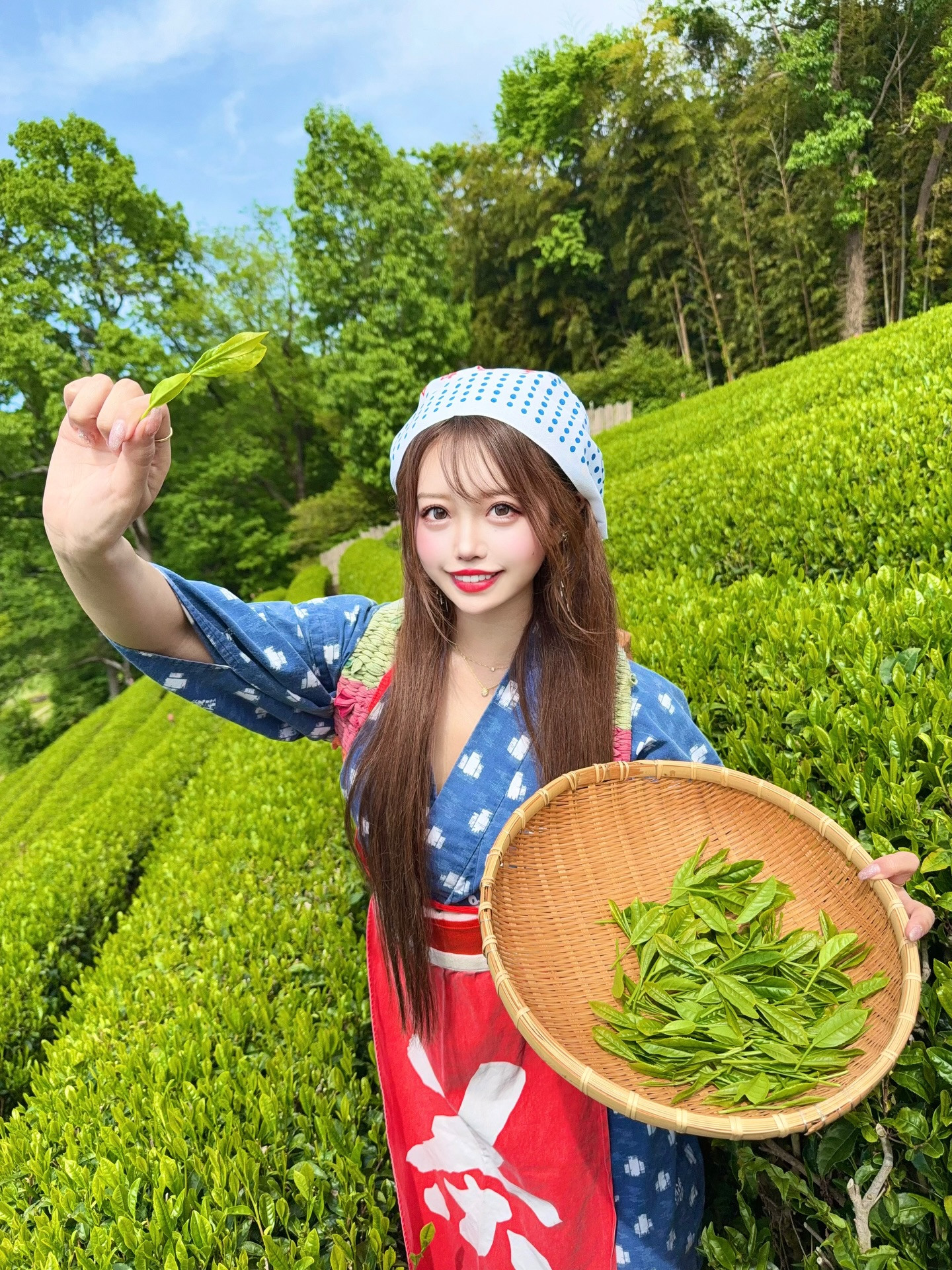 一条 葵